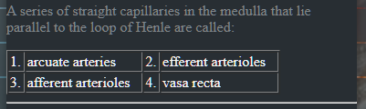 A series of straight capillaries in the medulla that lie parallel to t