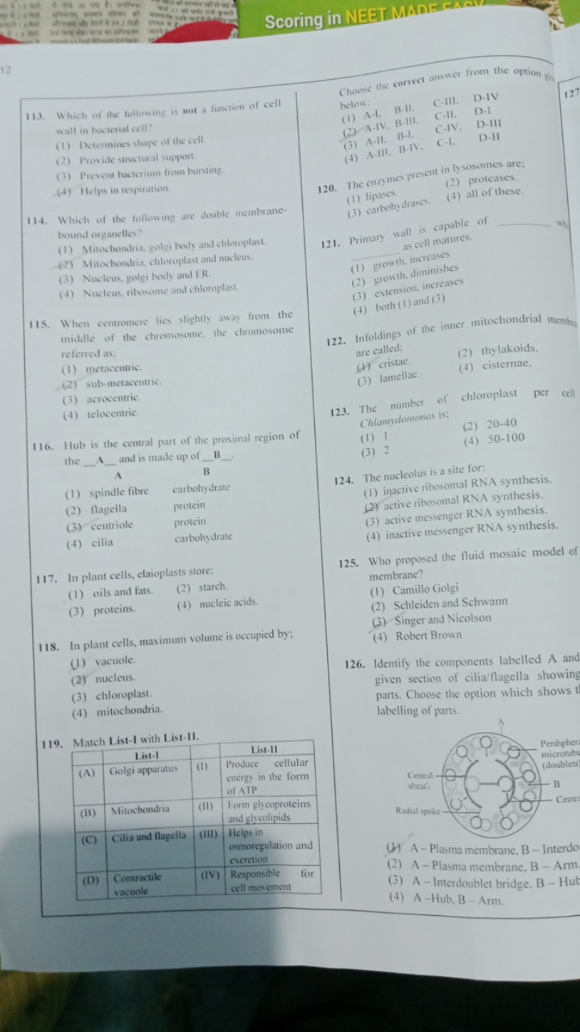 113. Which of the following is not a function of cell wall in bacteria