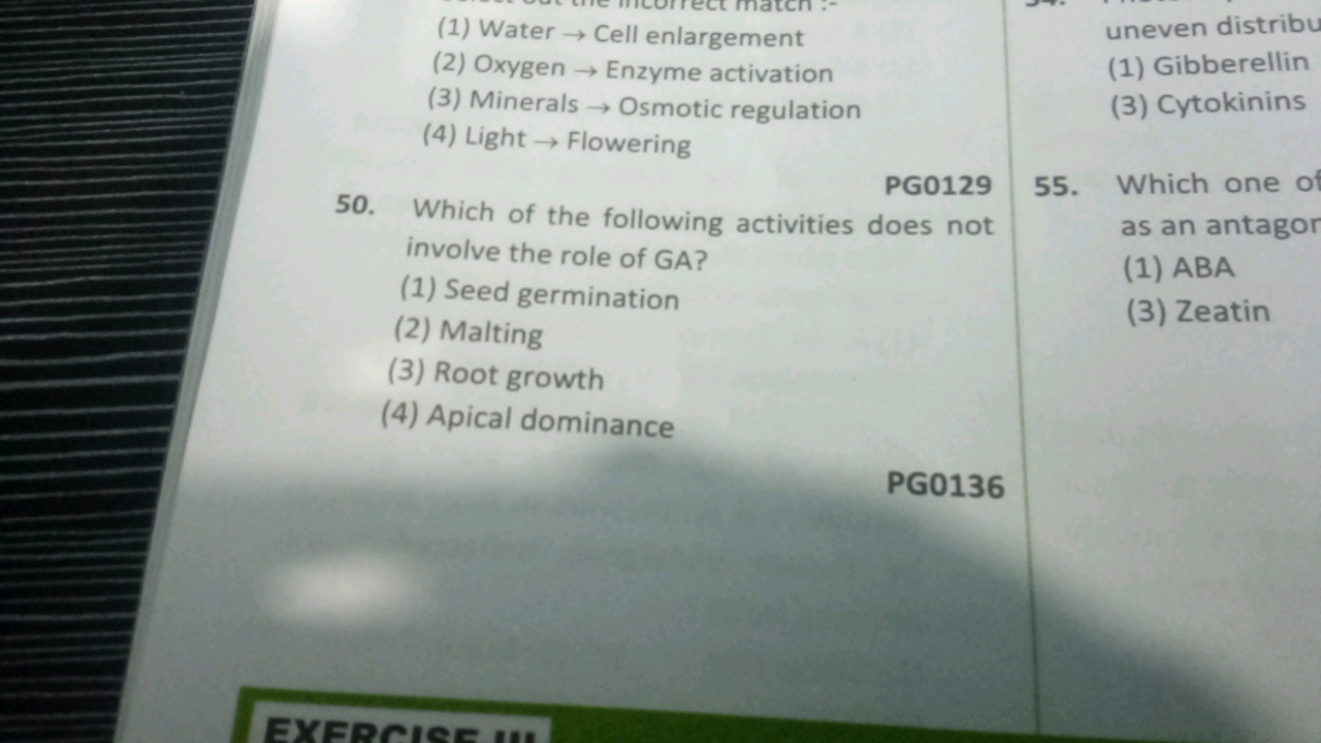 (1) Water → Cell enlargement
(2) Oxygen → Enzyme activation
(3) Minera