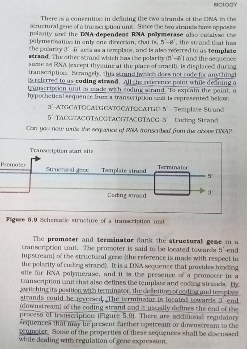 BIOLOGY
There is a convention in defining the two strands of the DNA i