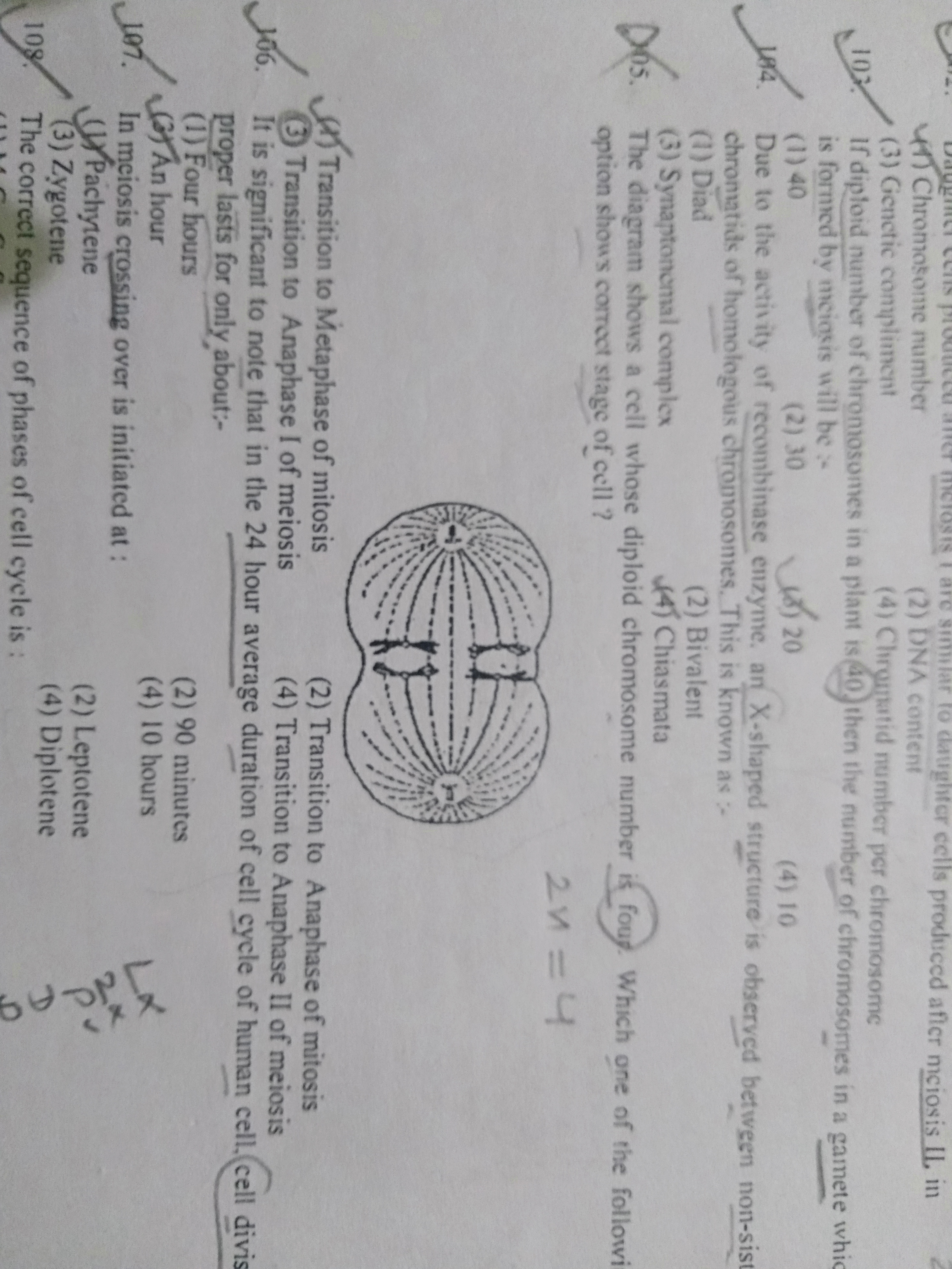 Ah Chromosome number
(3) Genetic compliment
(4) Chrempatid number per 