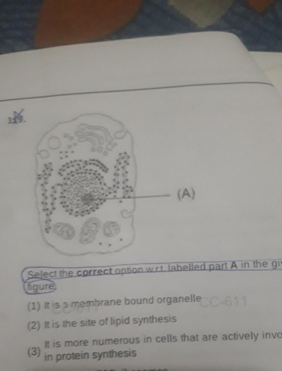 129.

Select the correct option wrt labelled part A in the gi tigure,
