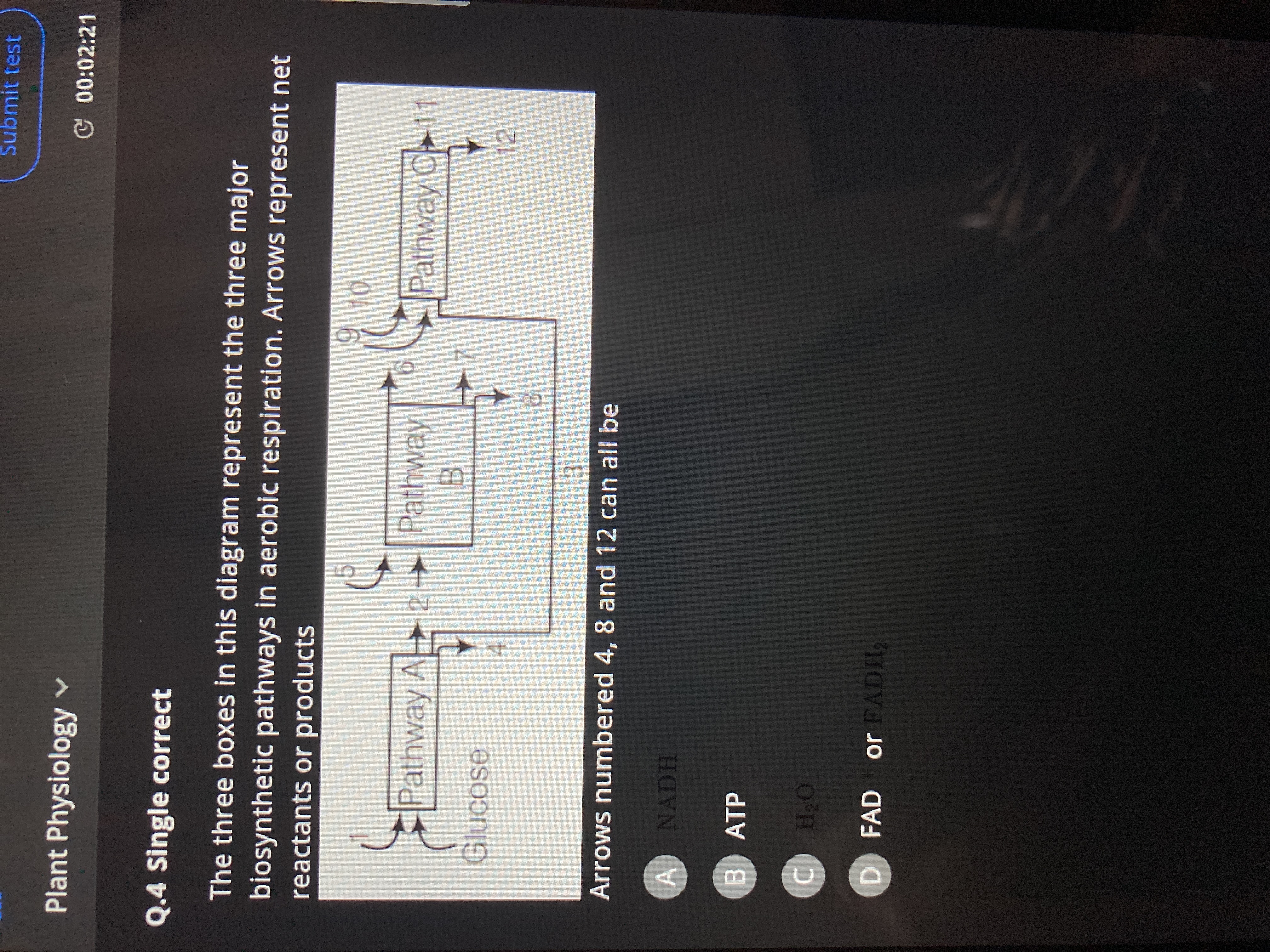 Submit test
Plant Physiology
Q.4 Single correct
00:02:21
The three box