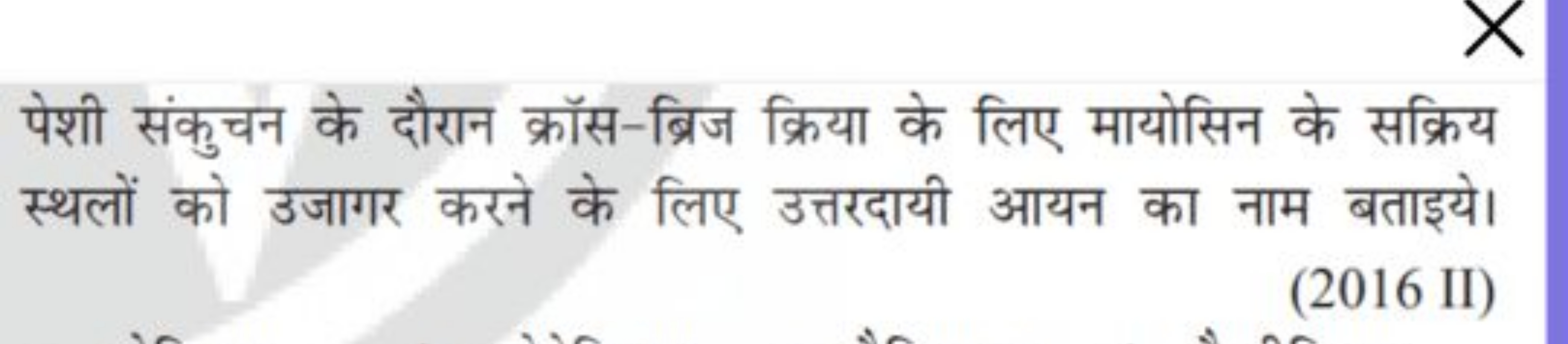 पेशी संकुचन के दौरान क्रॉस-ब्रिज क्रिया के लिए मायोसिन के सक्रिय स्थलो