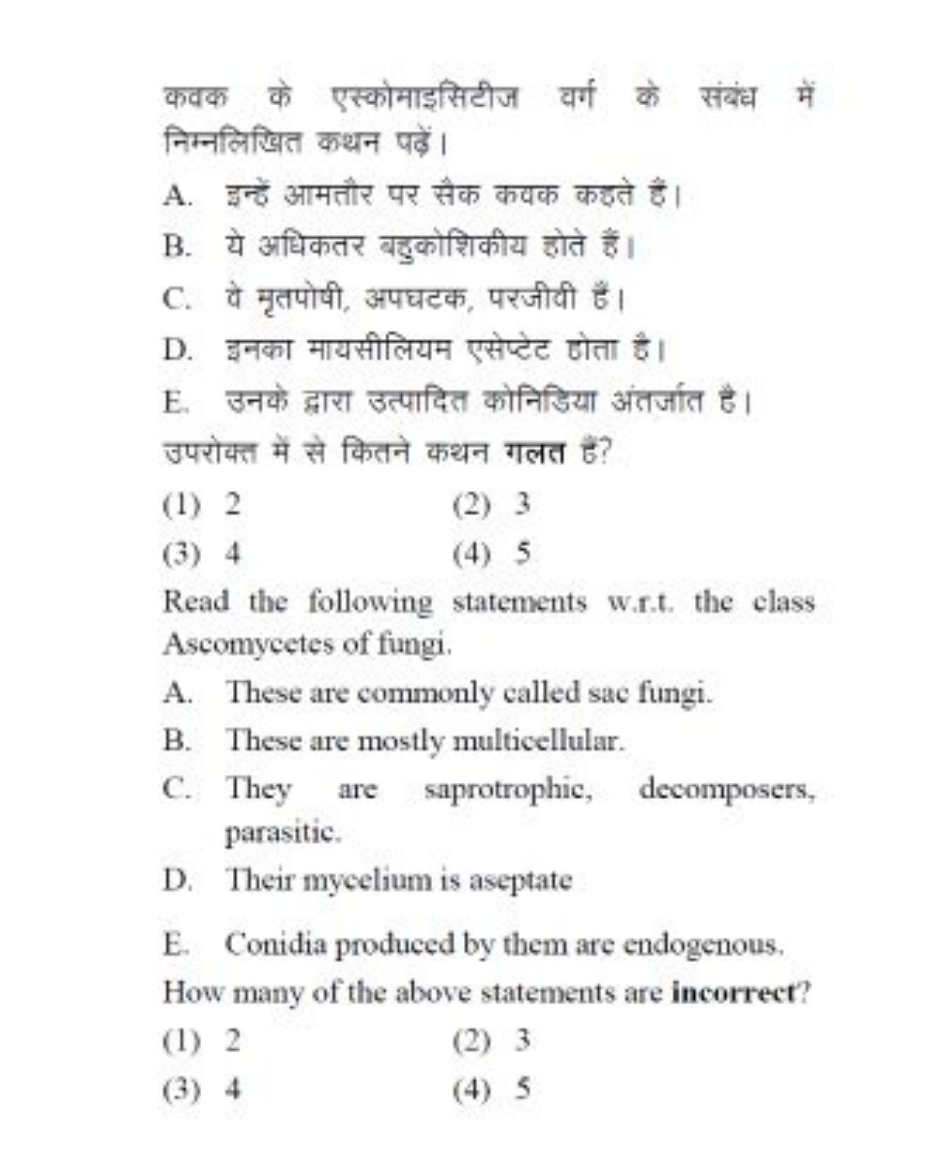 कवक के एस्कोमाइसिटीज वर्ग के संबंध में निम्नलिखित कथन पढ़ें।
A. इन्हें