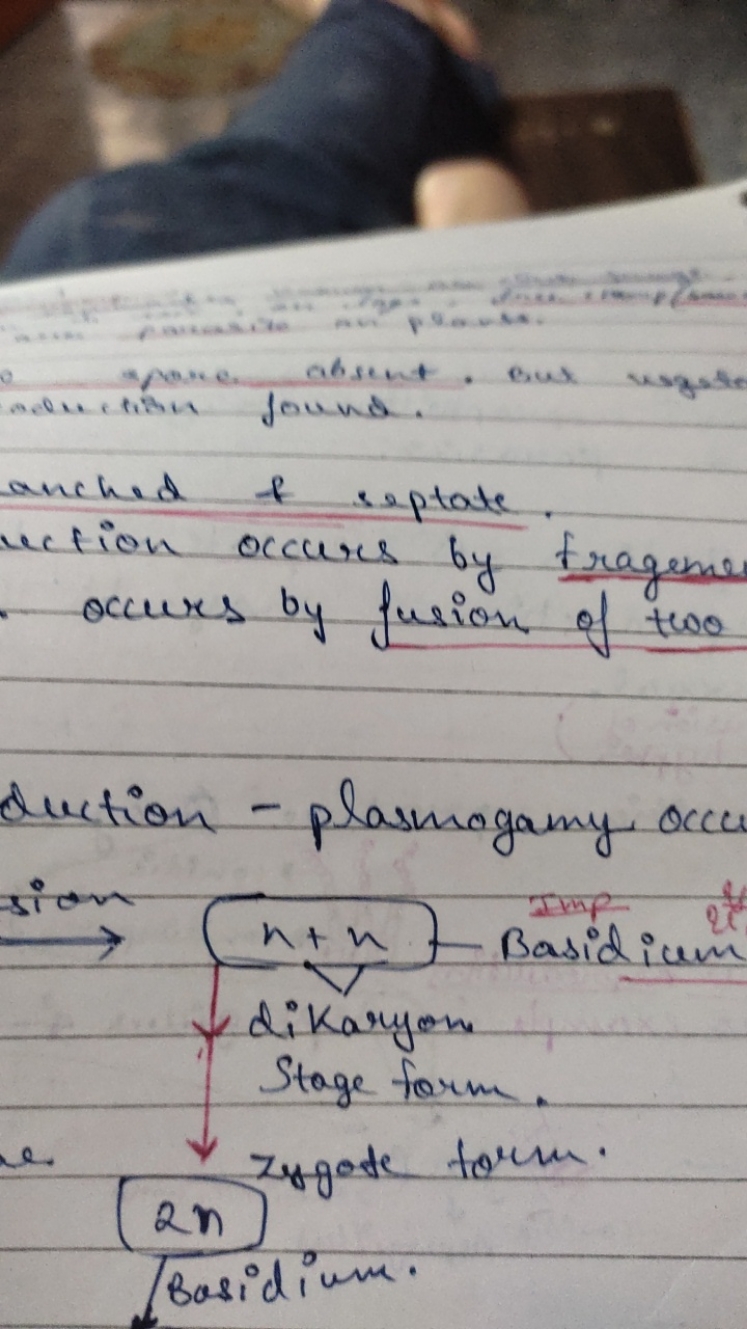 anched f septate.
uction occurs by fragems occurs by fusion of two
duc