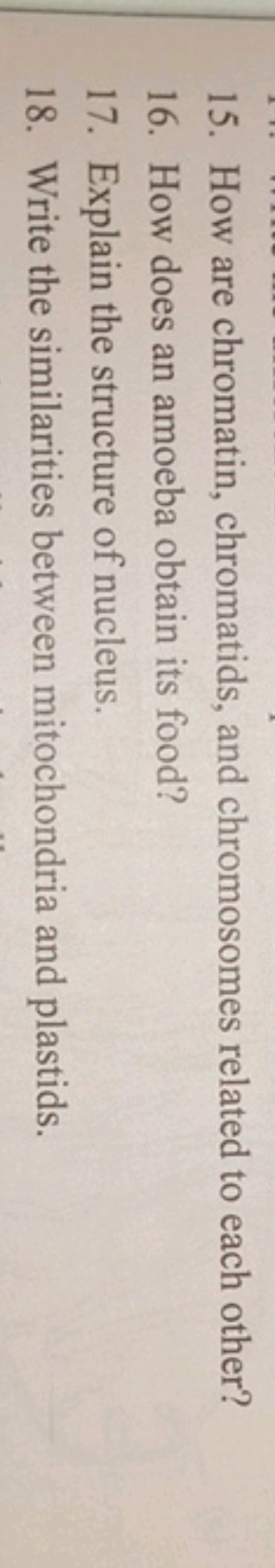 15. How are chromatin, chromatids, and chromosomes related to each oth