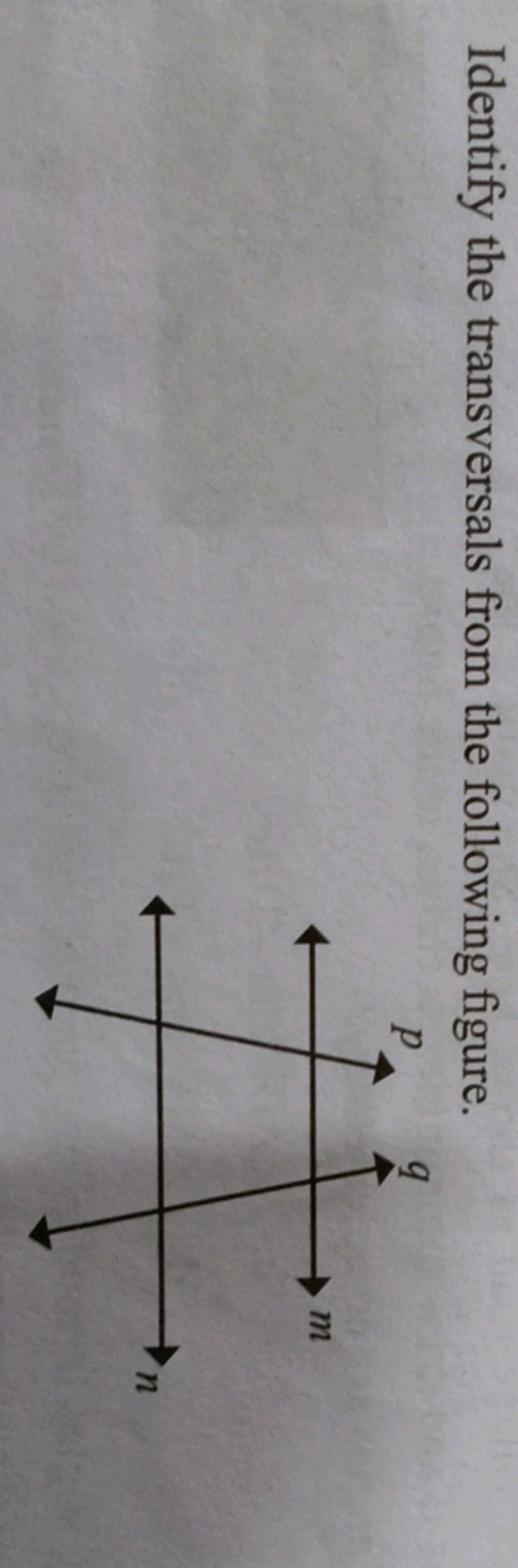 Identify the transversals from the following figure.