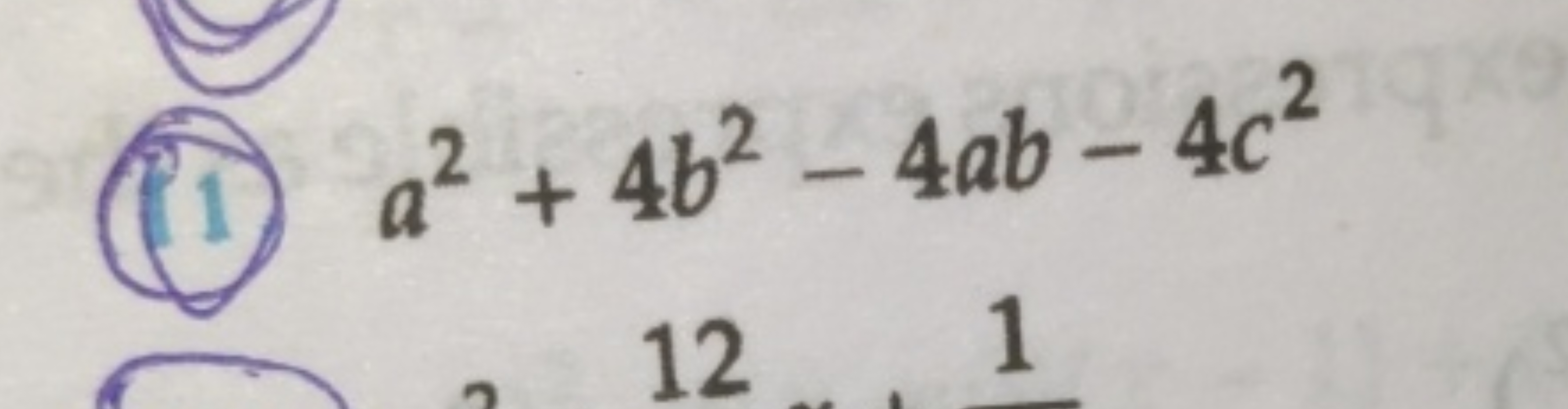 (11) a2+4b2−4ab−4c2