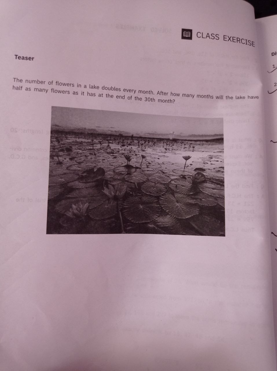 CLASS EXERCISE
Teaser
The number of flowers in a lake doubles every mo