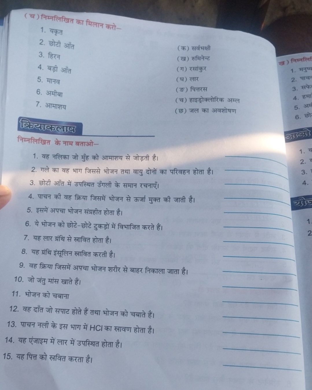 (च) निम्नलिखित का मिलान करो-
1. यकृत
2. छोटी आँत
(क) सर्वभक्षी
3. हिरन