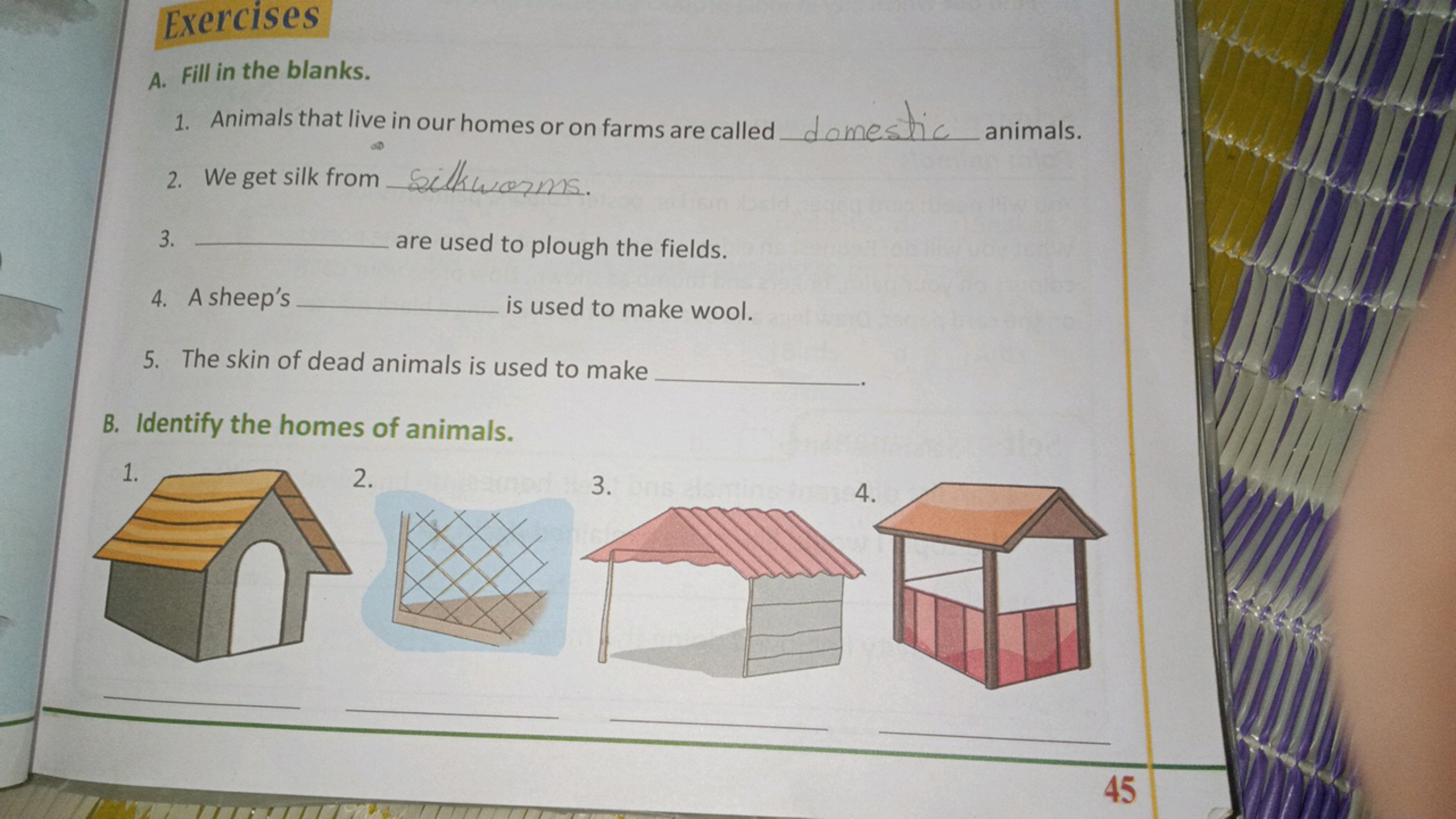 Exercises
A. Fill in the blanks.
1. Animals that live in our homes or 