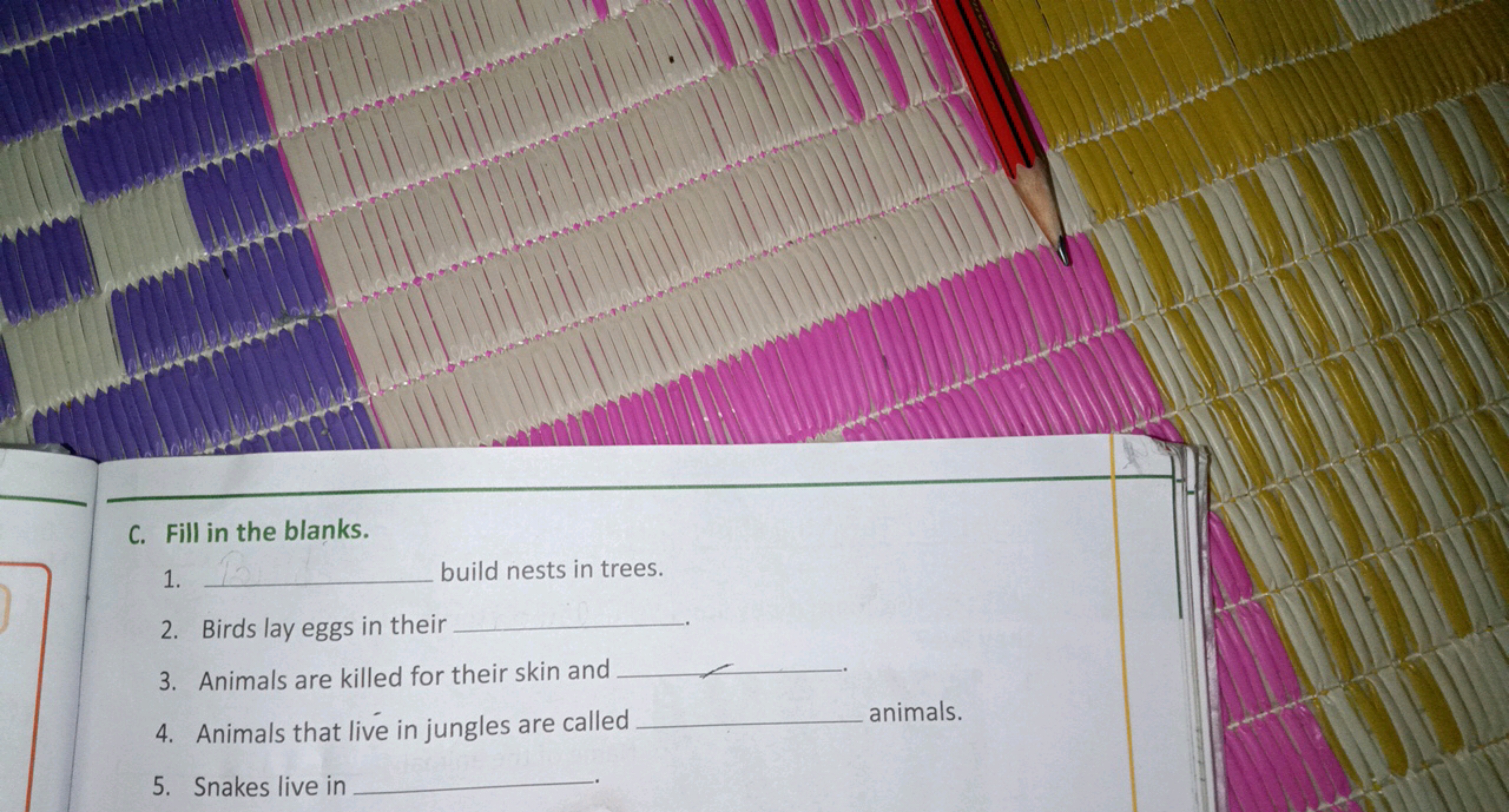 C. Fill in the blanks.
1.
build nests in trees.
2. Birds lay eggs in t