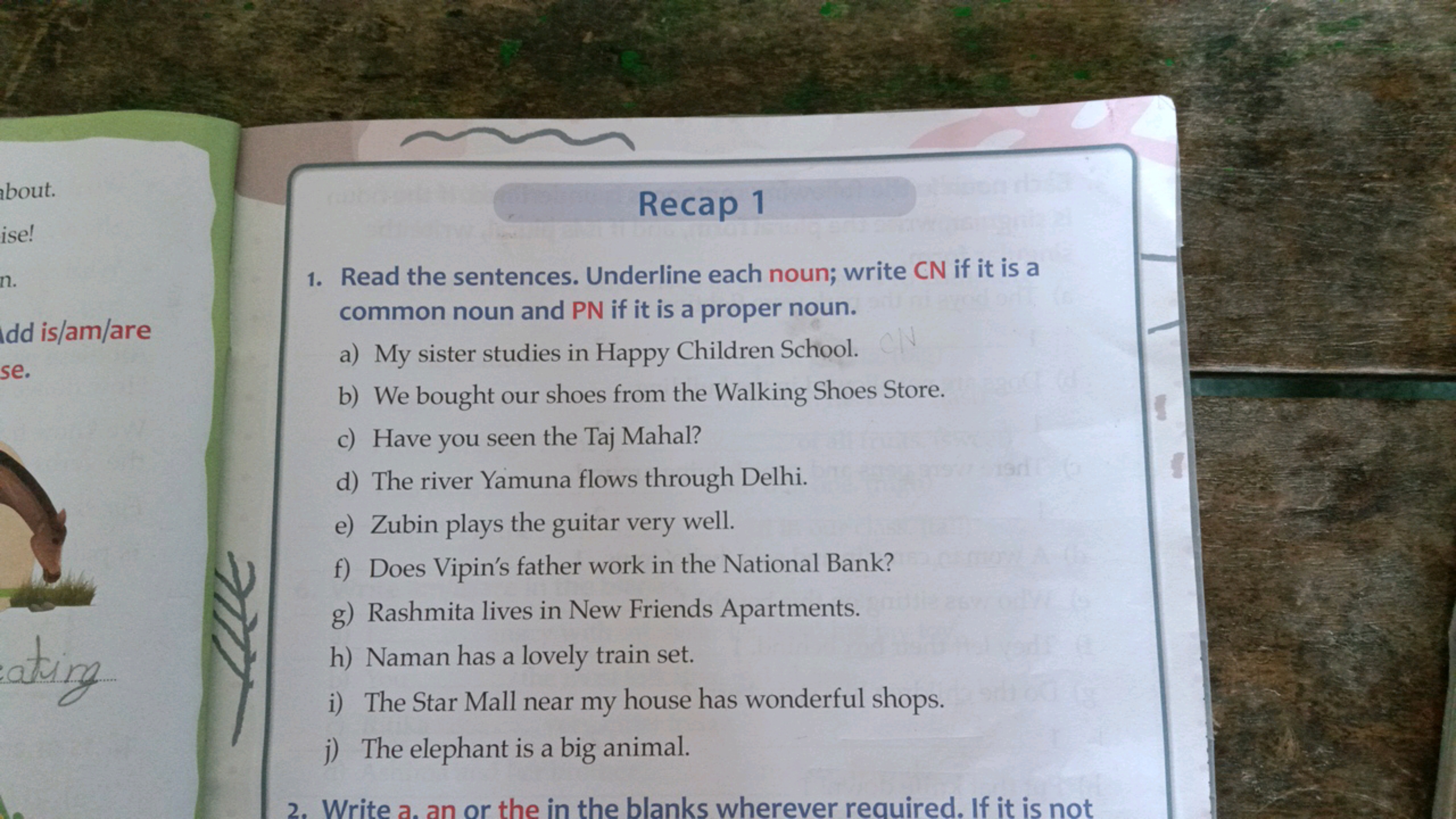 Recap 1
1. Read the sentences. Underline each noun; write CN if it is 