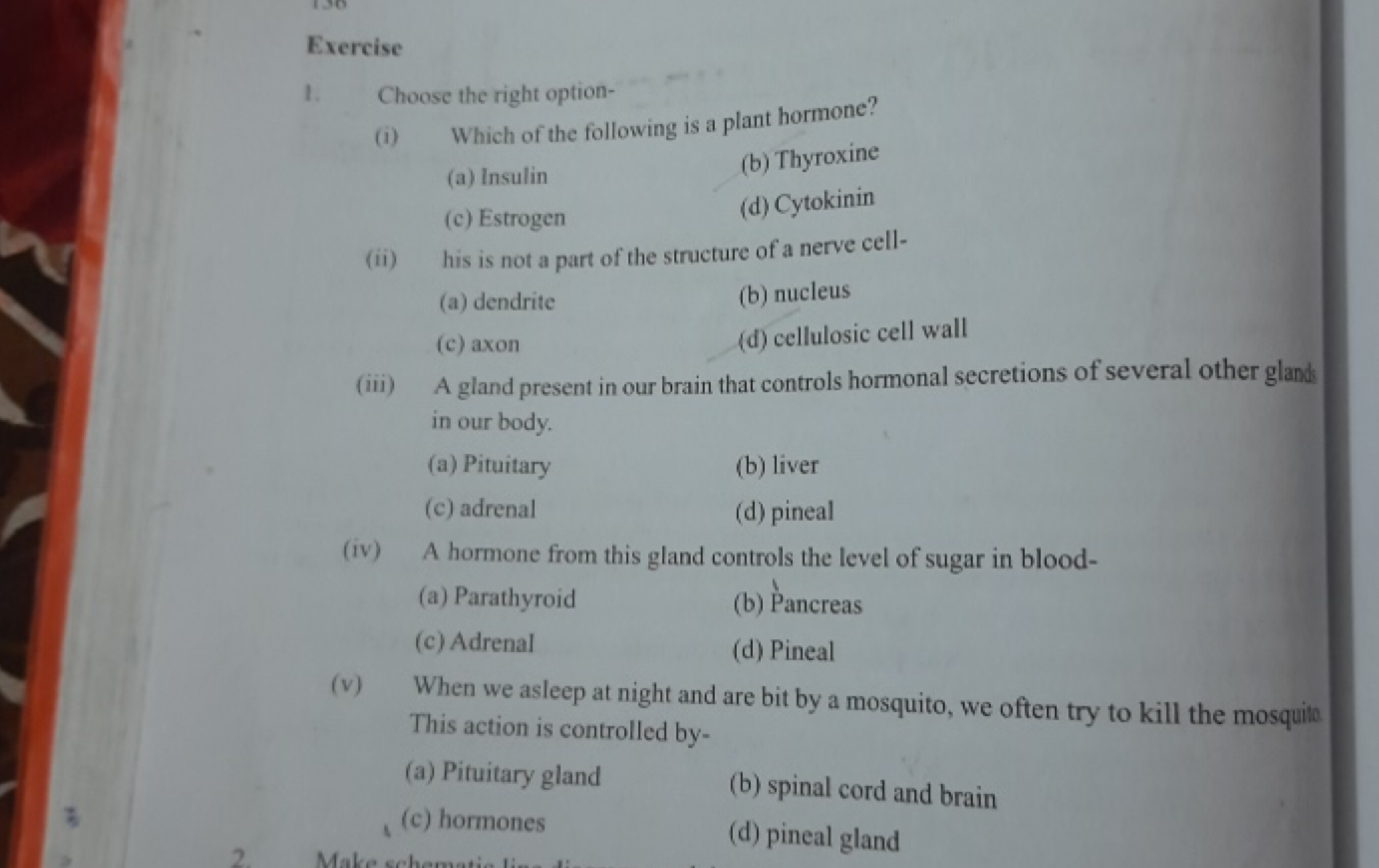 Exercise
1. Choose the right option-
(i) Which of the following is a p