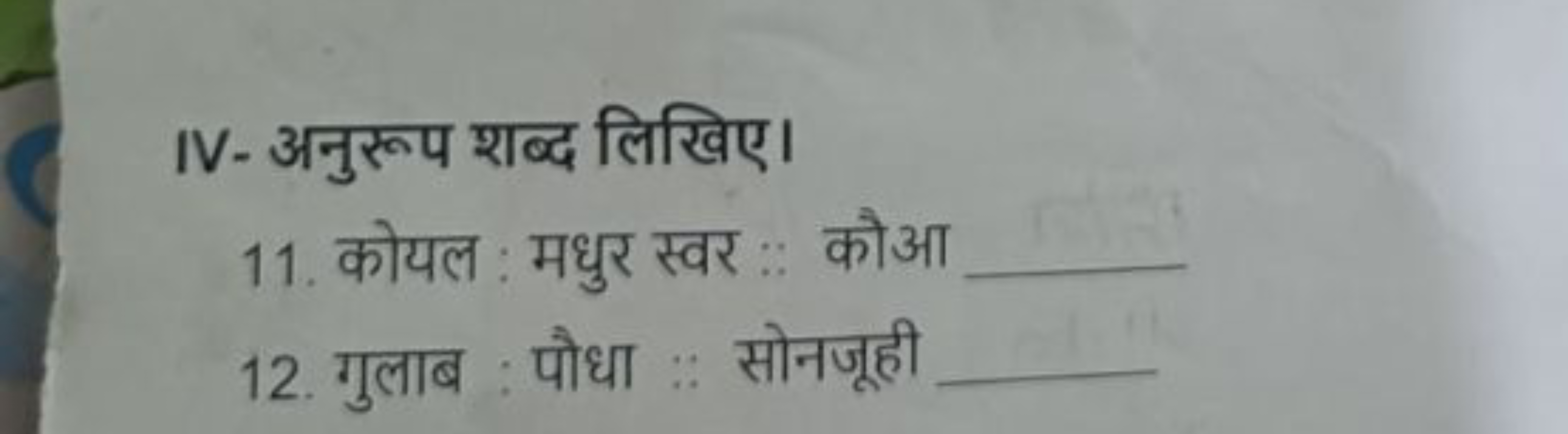 IV- अनुरूप शब्द लिखिए।
11. कोयल : मधुर स्वर :. कौआ 
12. गुलाब : पौधा :