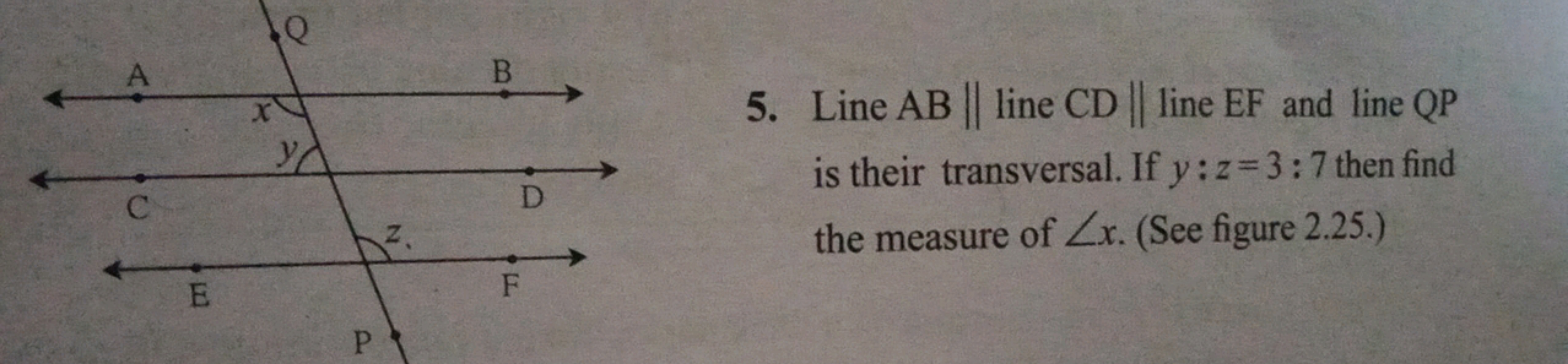 5. Line AB∥ line CD∥ line EF and line QP is their transversal. If y:z=