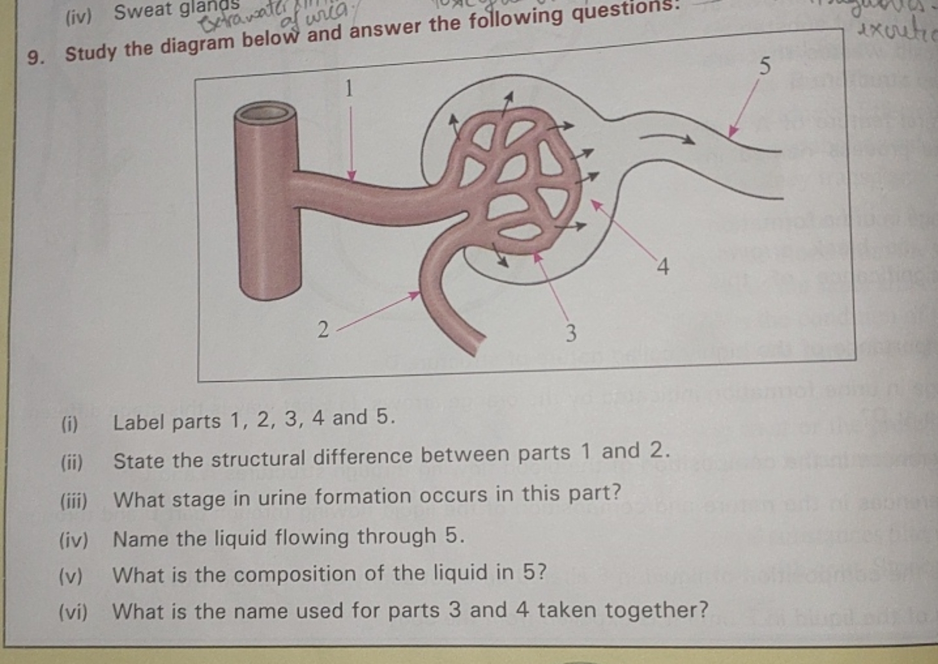 9. Study the diagram below and answer the following questions.
(i) Lab