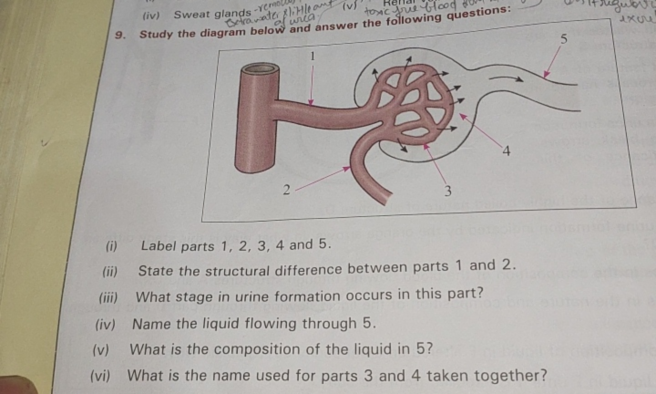 9. Study the diagram below and answer the following questions:
(i) Lab