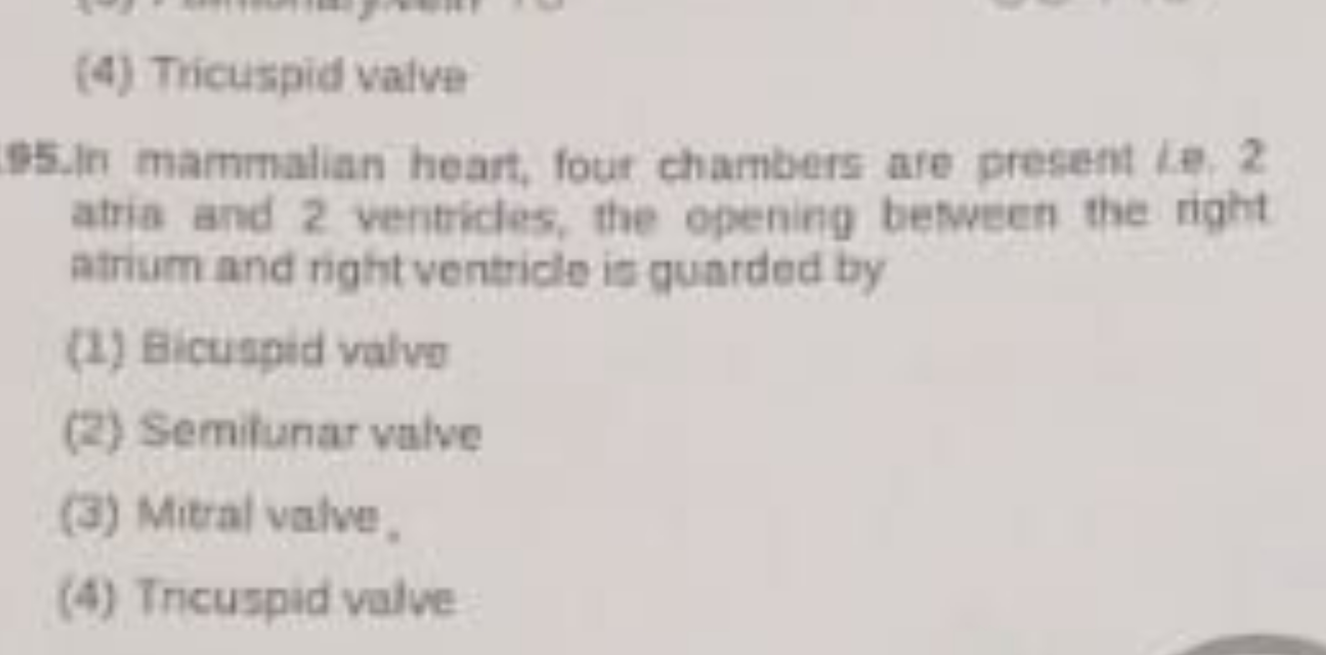 (4) Tricuspid valve
05. In imammalian heart, four chambers are present