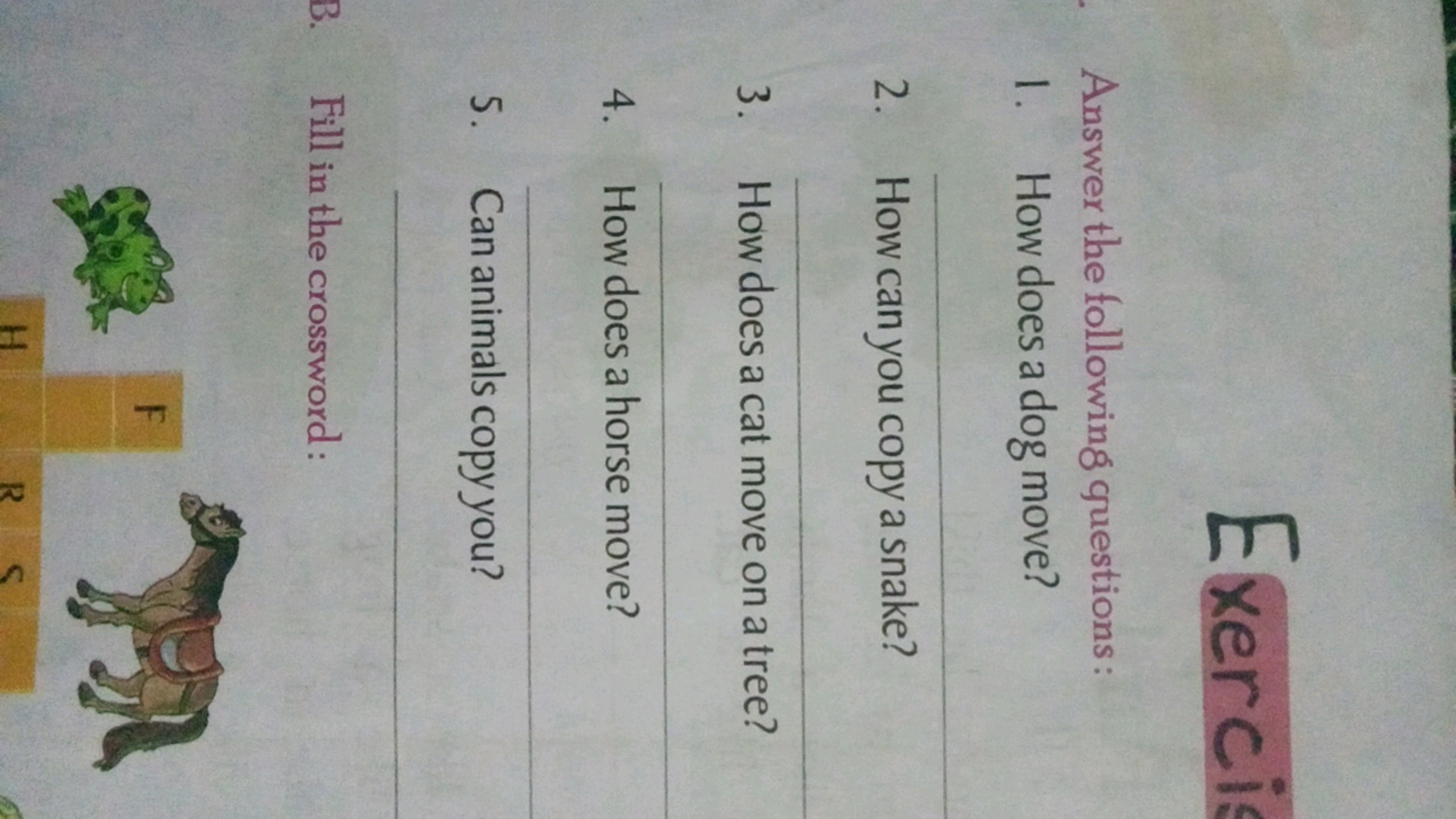 Exercis
Answer the followin 8 questions:
1. How does a dog move?
2. Ho