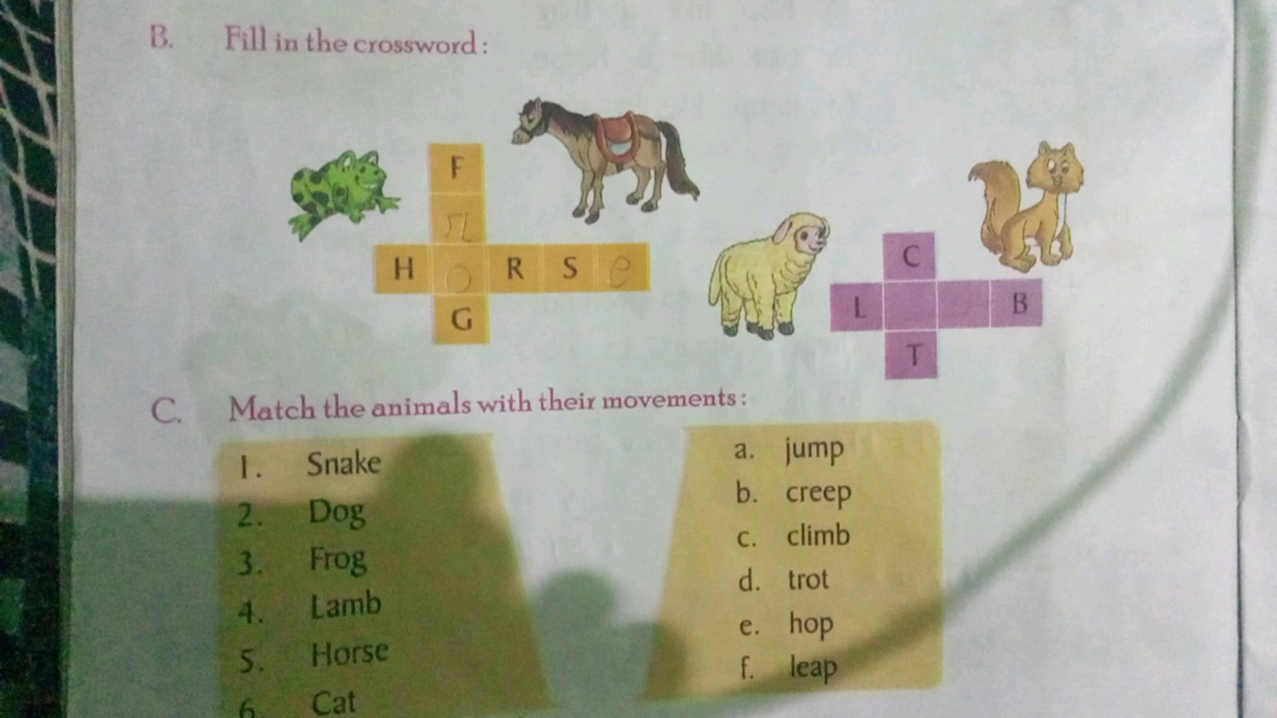 B. Fill in the crossword:
C. Match the animals with their movements:
1