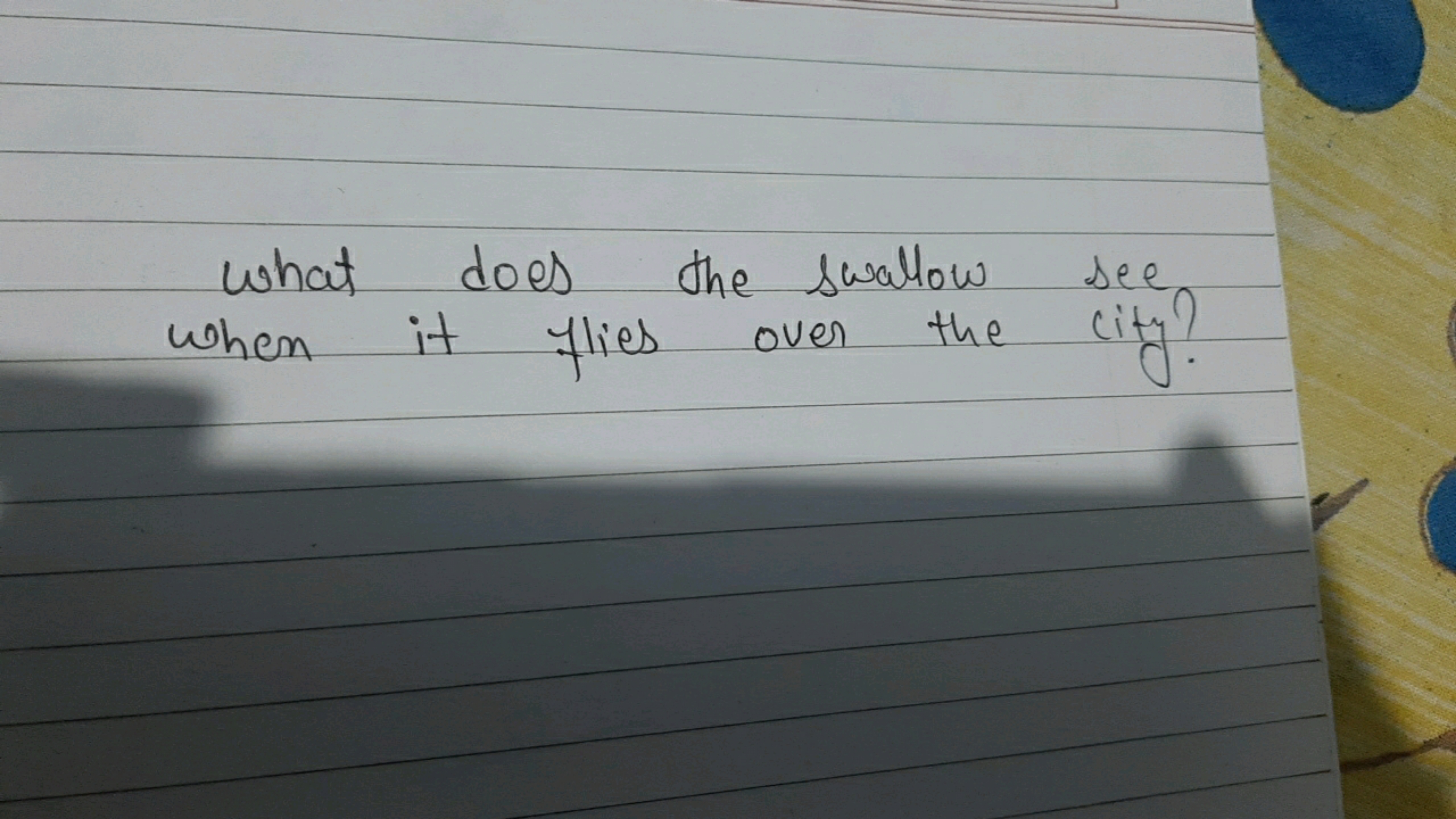 what does the swallow
the swallow see
when it flies over the
city