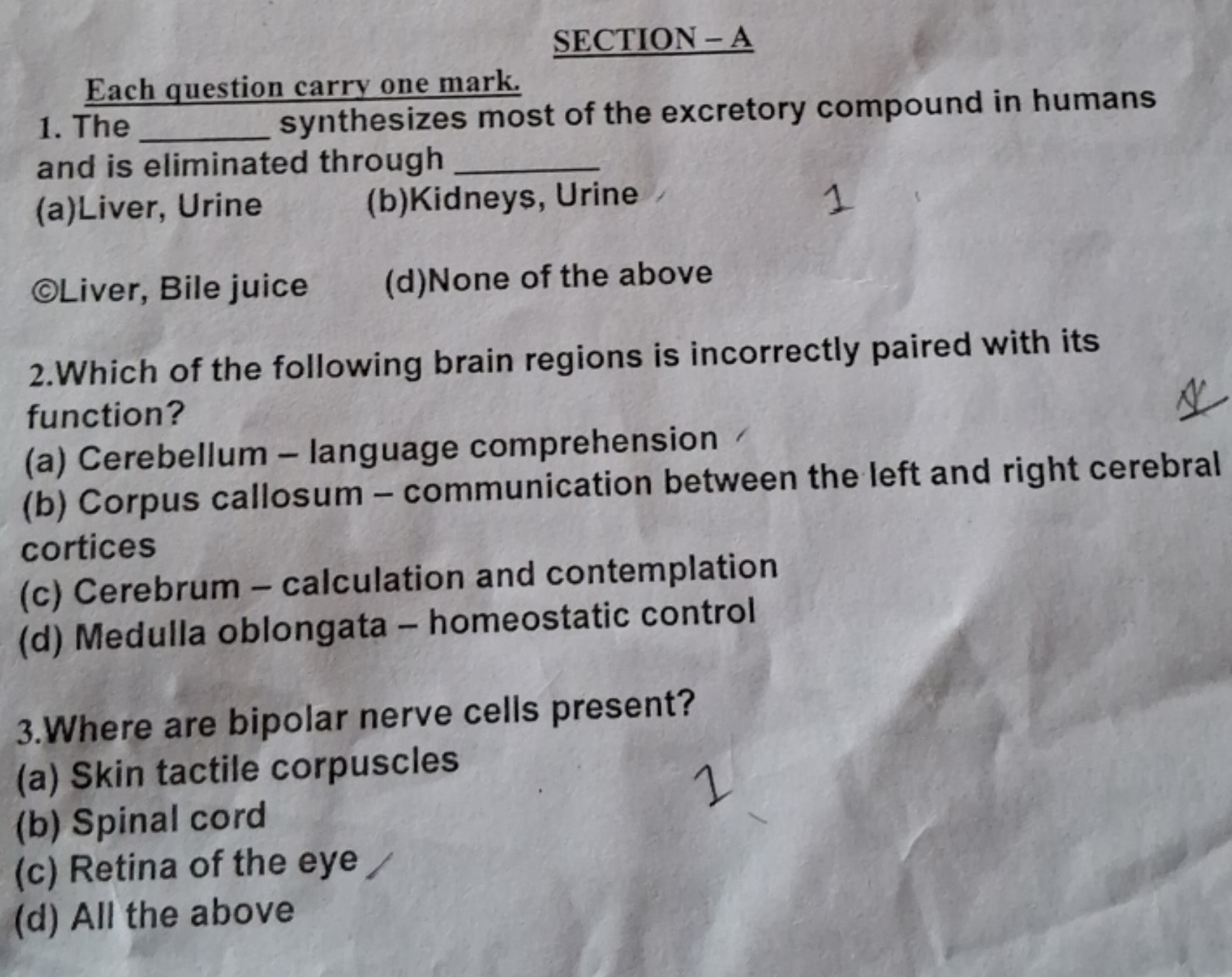 SECTION - A
Each question carry one mark.
1. The  synthesizes most of 