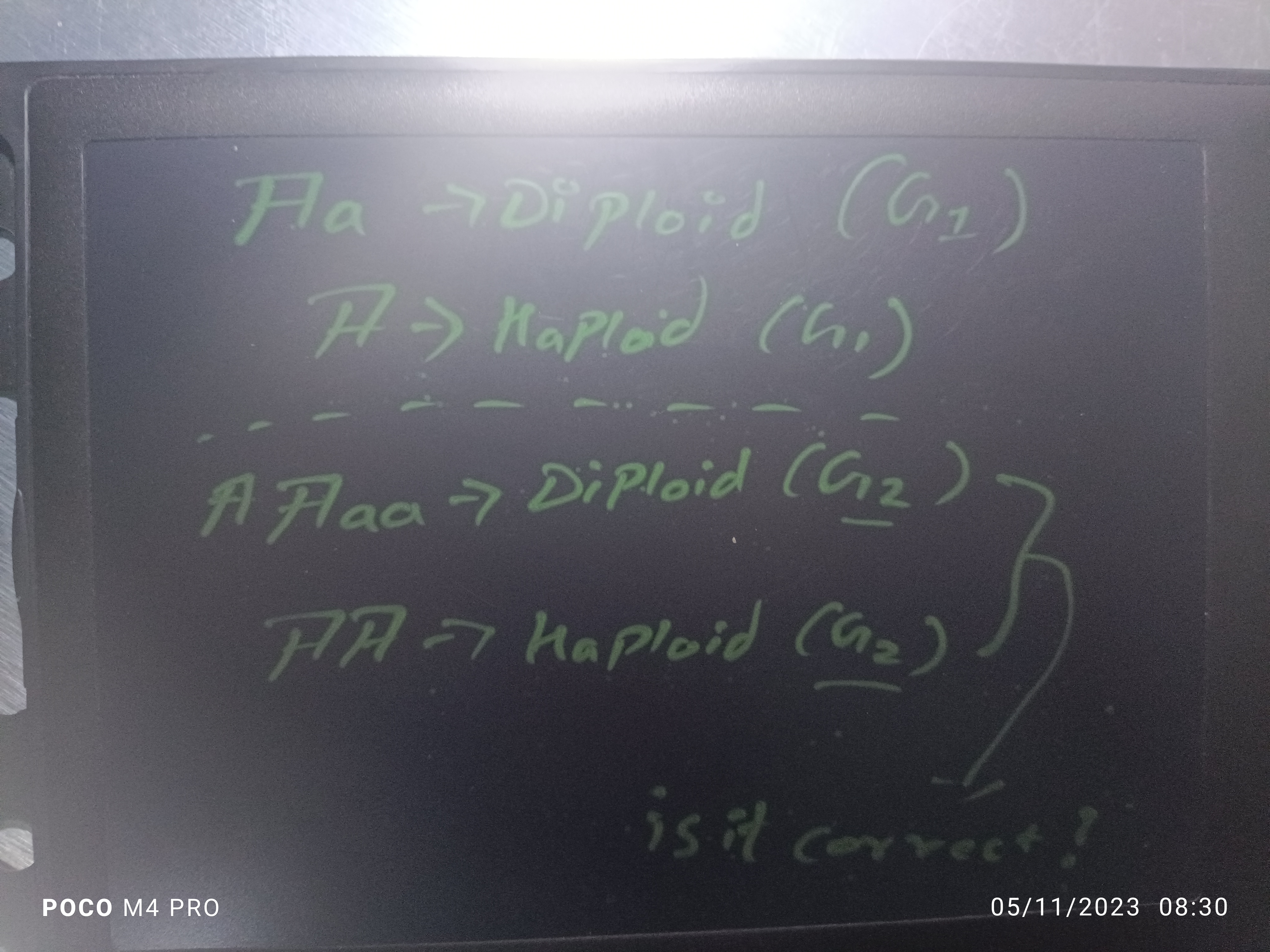  Ha H→ haploid (G1​) A Faa → Diploid (G12​) FR → haploid (G2​)​⎭⎬⎫​
is