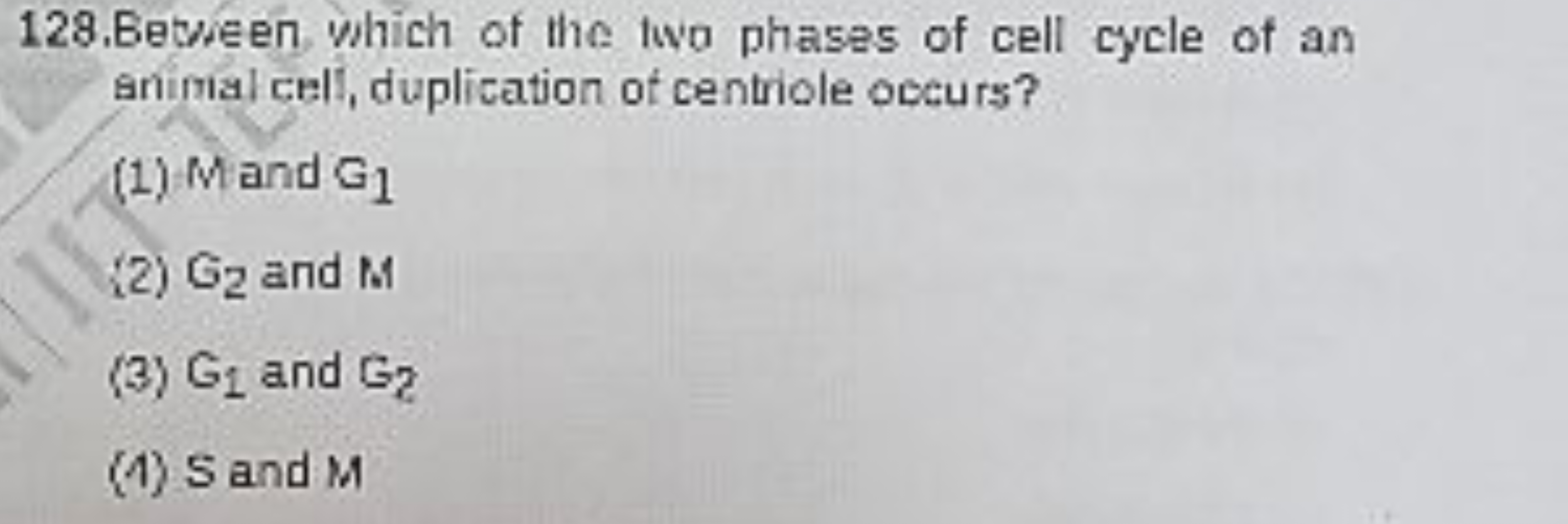 128. Beween which of the wo phases of cell cycle of an animal cell, du