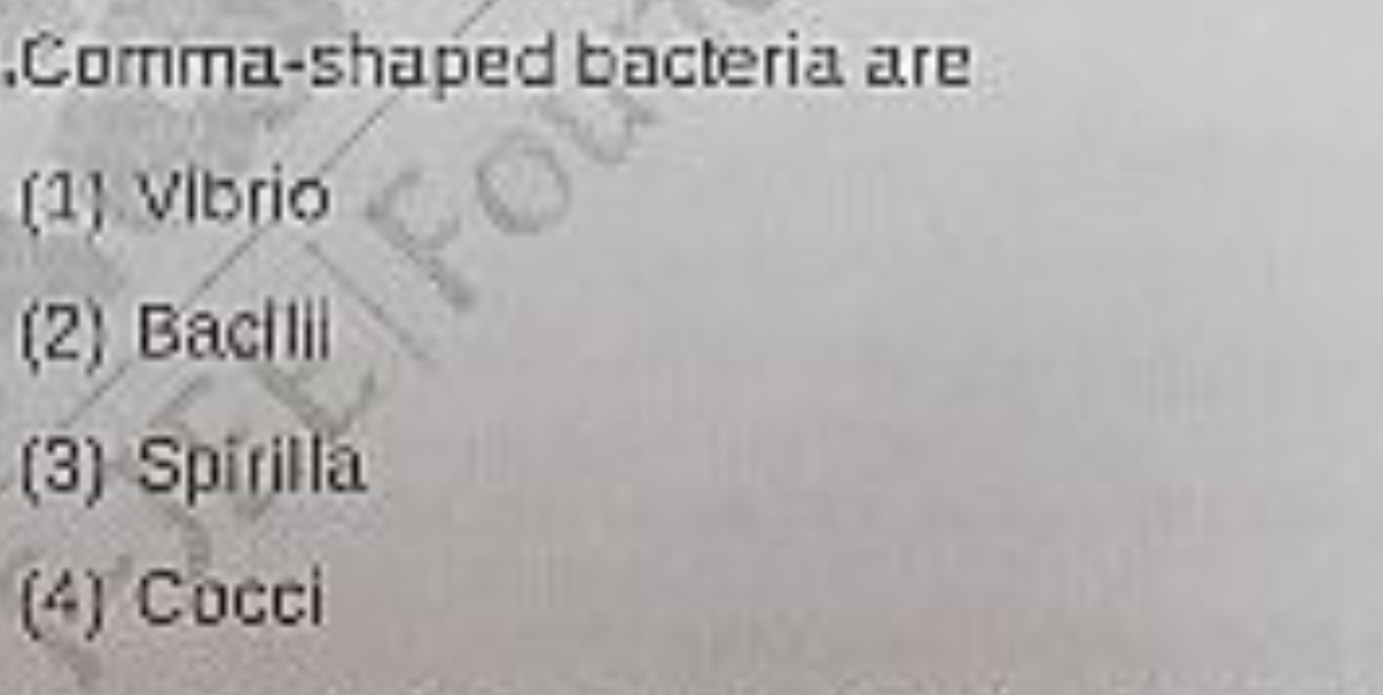 Comma-shaped bacteria are
(1) vibrio
(2) Bacilil
(3) Spirila
(4) Cocci