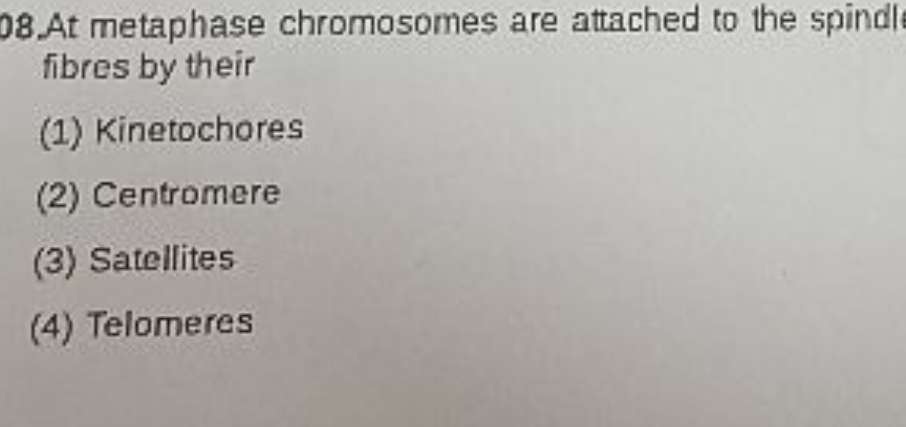 08.At metaphase chromosomes are attached to the spindl fibres by their