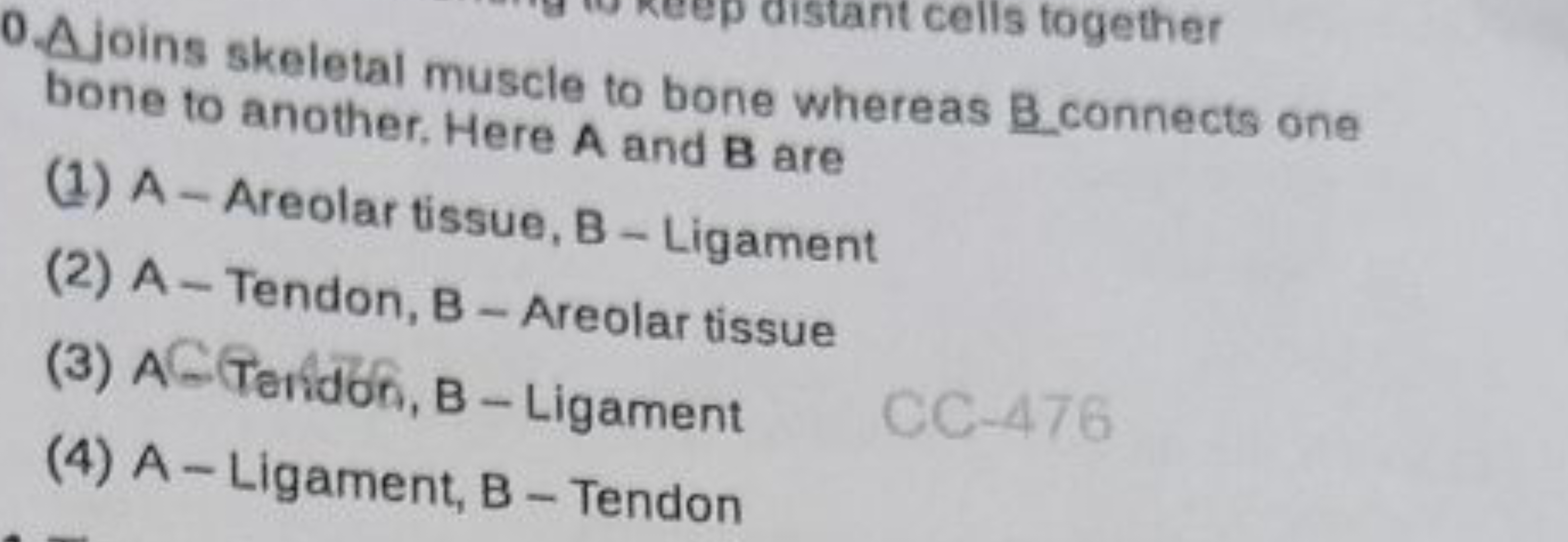 ant cells together bone to another. Here A and B are
(1) A - Areolar t