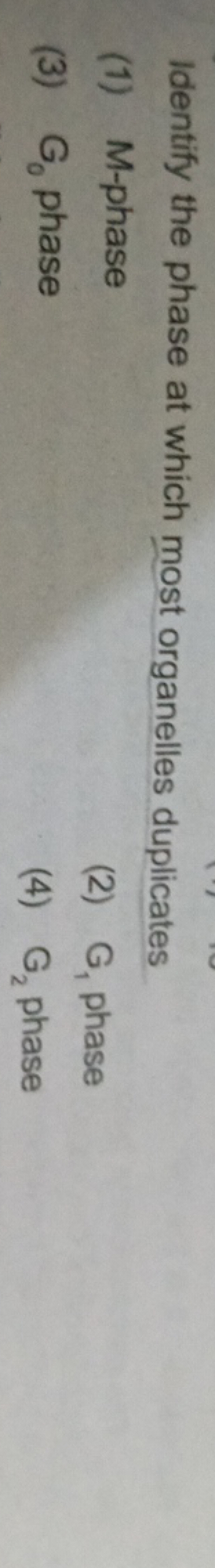 Identify the phase at which most organelles duplicates
(1) M-phase
(2)