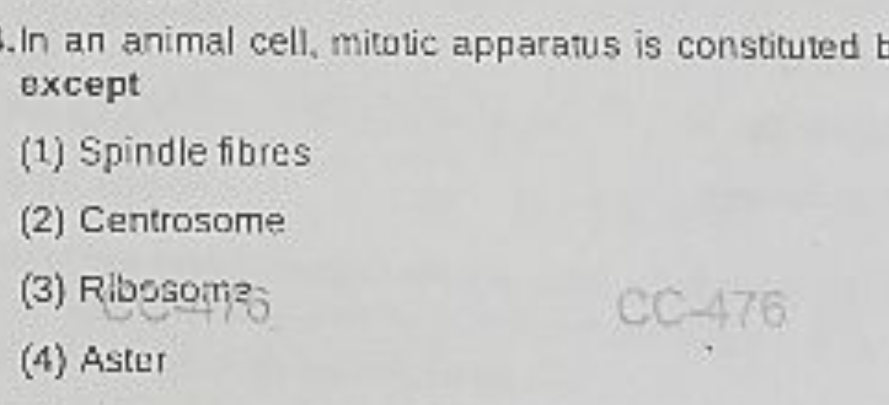 In an animal cell, mitotic apparatus is constituted except
(1) Spindle