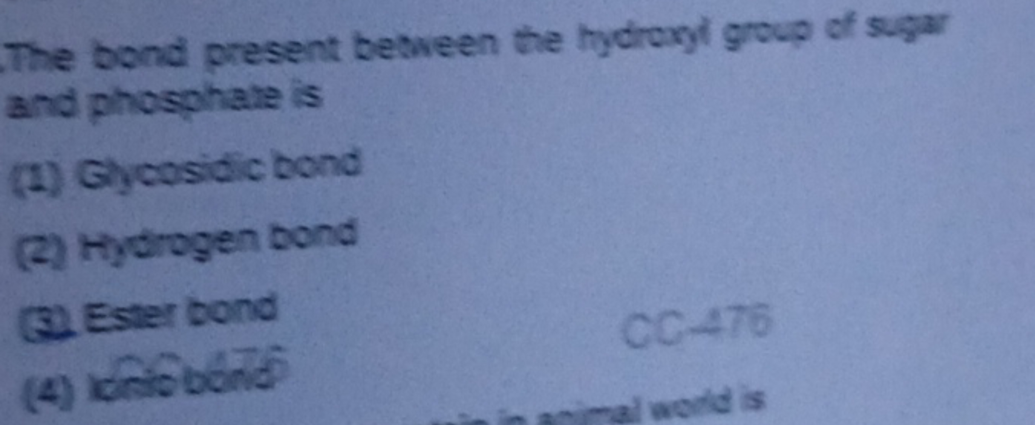 The bond present between the hydroxyl group of sugar and phosphate is
