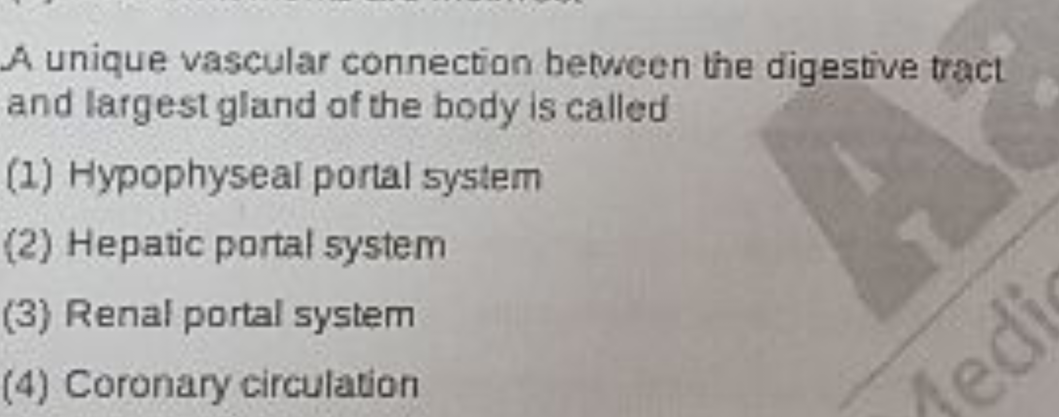 A unique vascular connection between the digestive tract and largest g