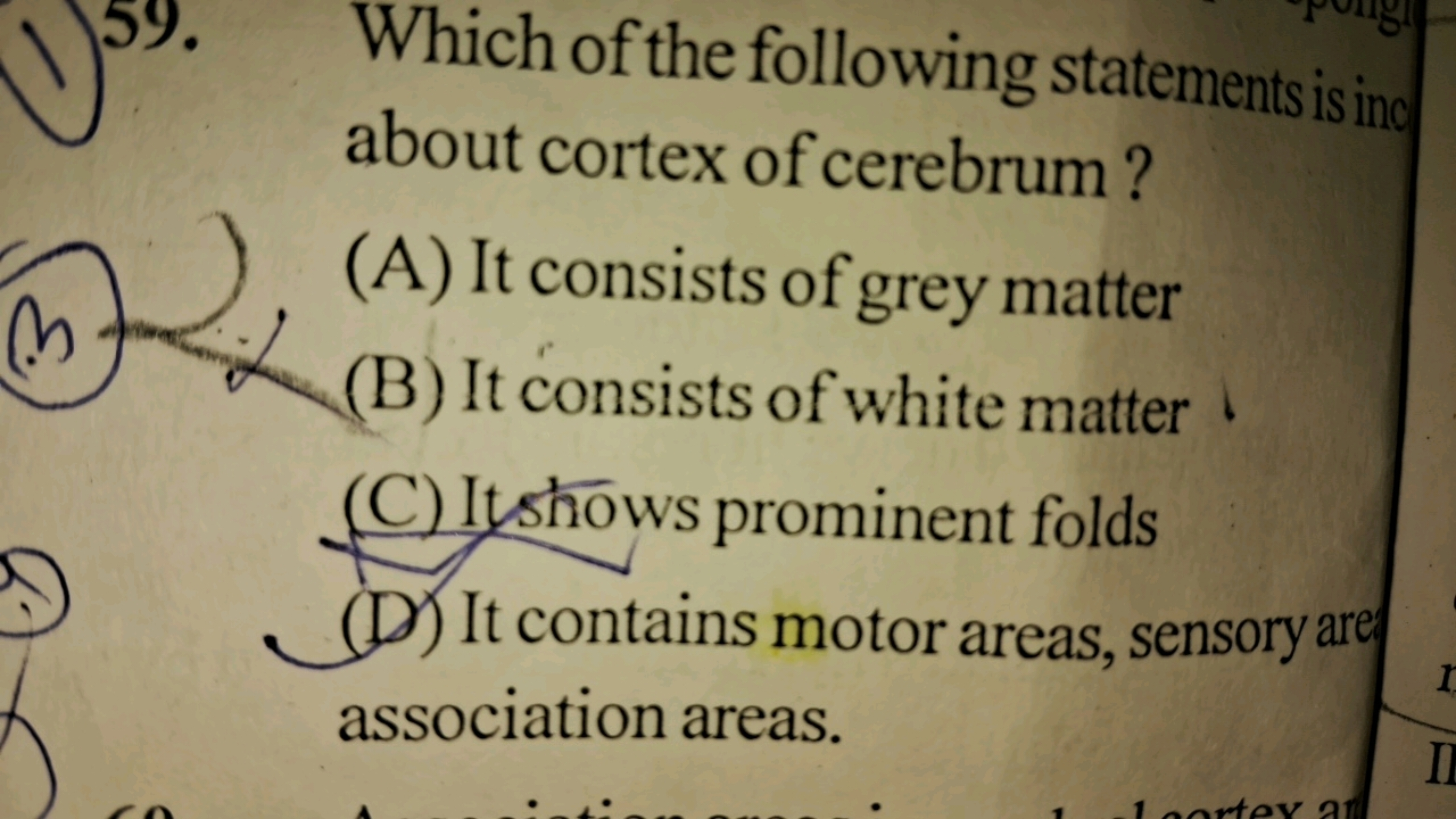 Which of the following statements is inc
about cortex of cerebrum?
(A)