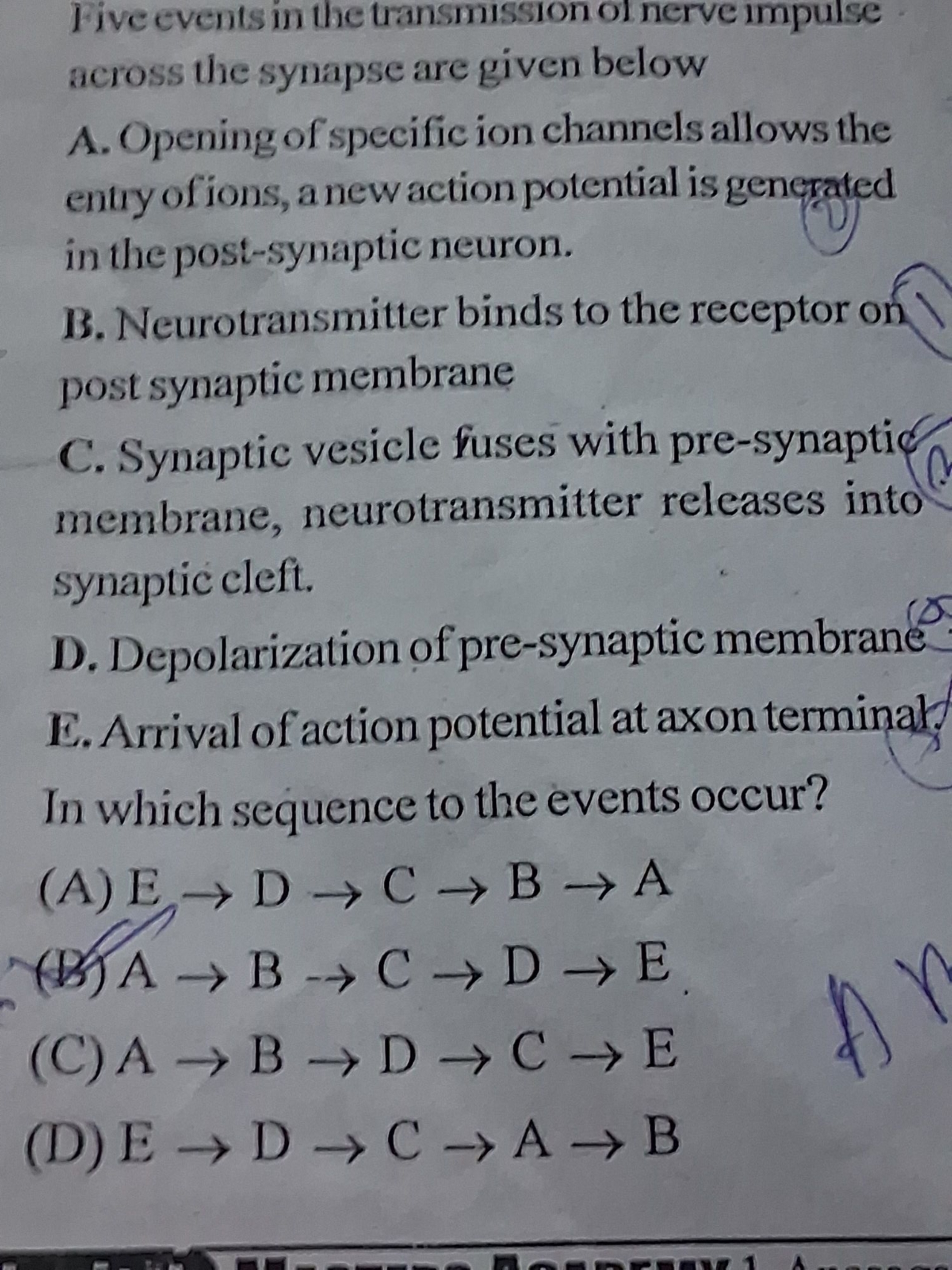 Five events in the transmission of nerve impulse across the synapse ar