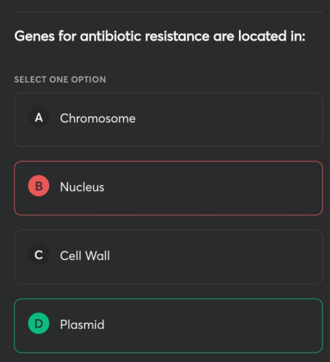 Genes for antibiotic resistance are located in:

SELECT ONE OPTION

A 