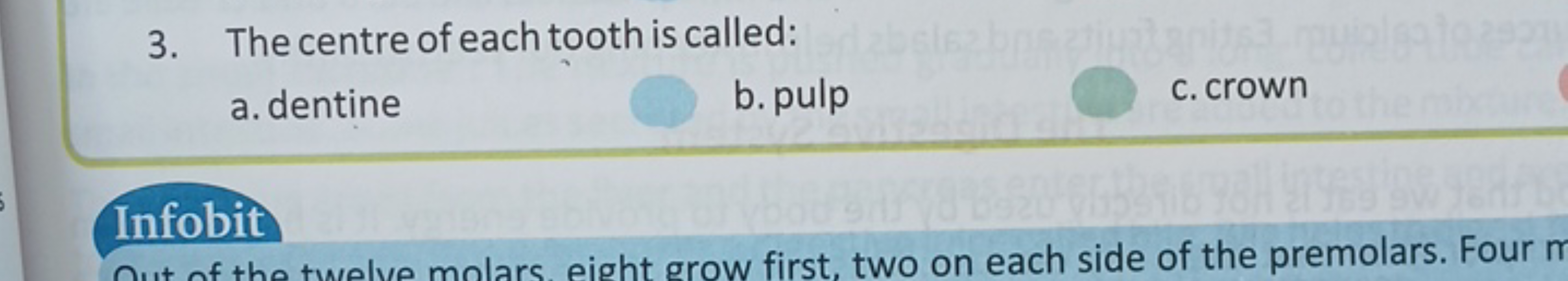 3. The centre of each tooth is called:
a. dentine
b. pulp
c. crown

In