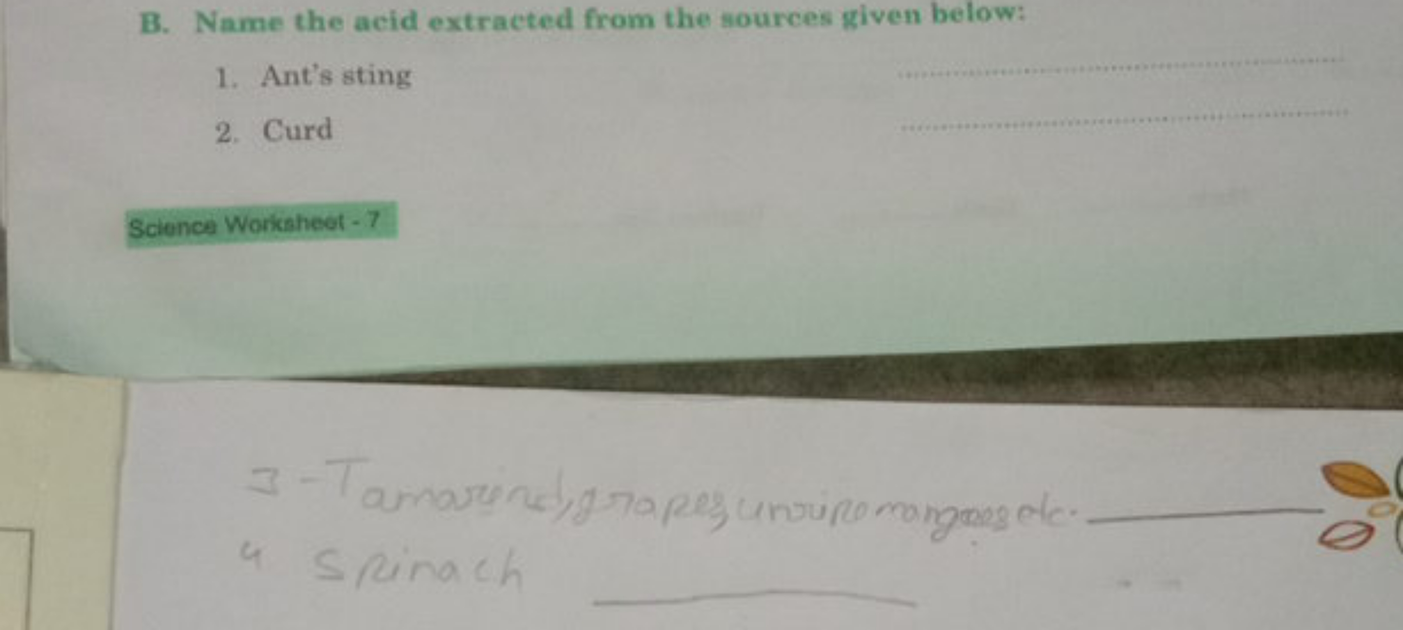 B. Name the acid extracted from the sources given below:
1. Ant's stin