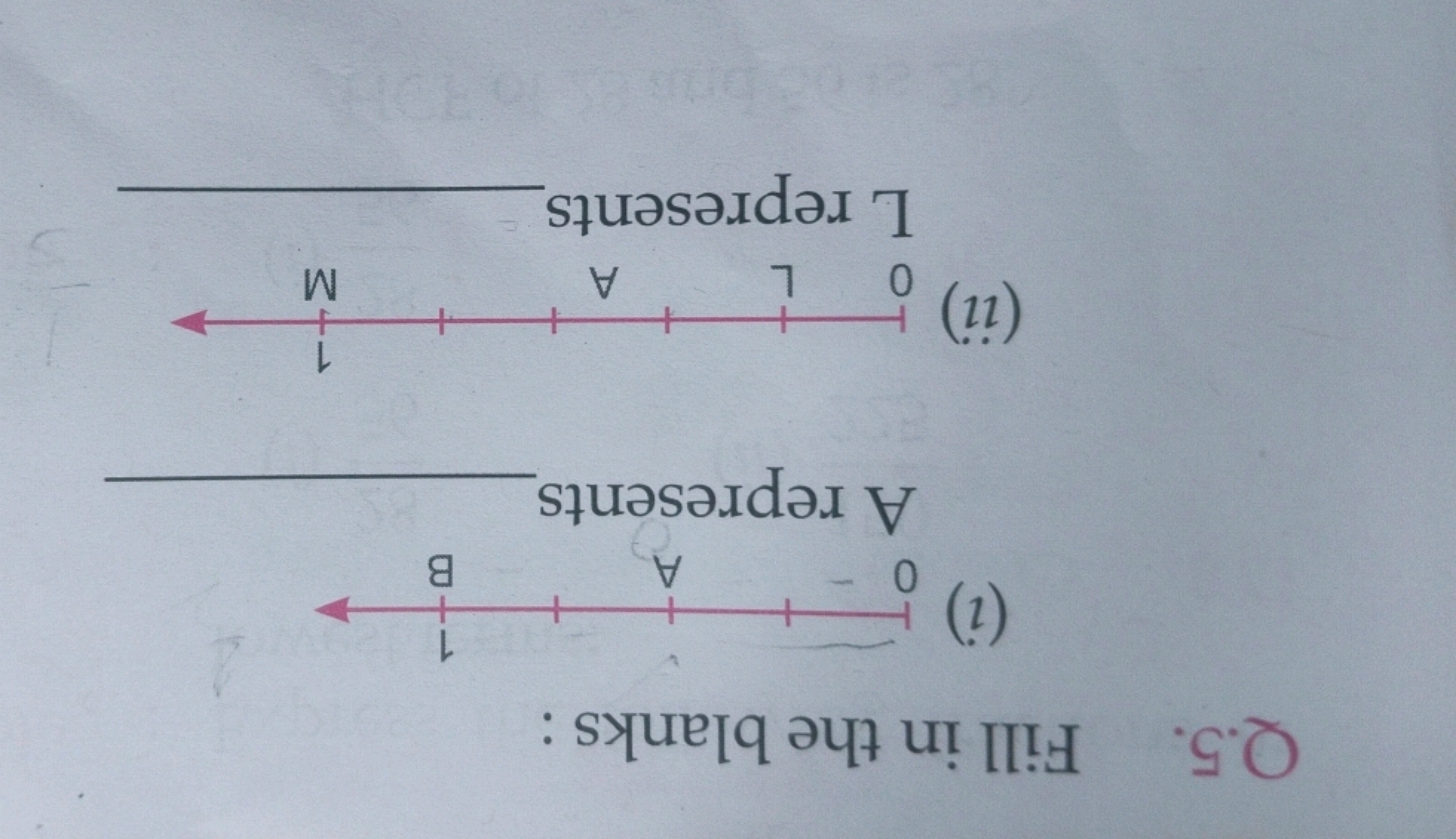 Q.5. Fill in the blanks :
(i)

A represents 
(ii)

L represents 