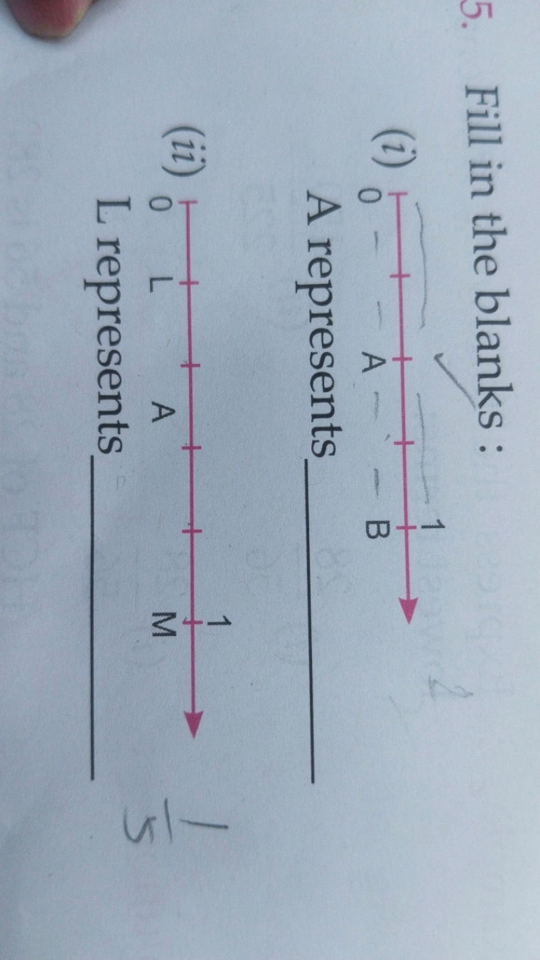 5. Fill in the blanks :
(i)

A represents 
(ii)