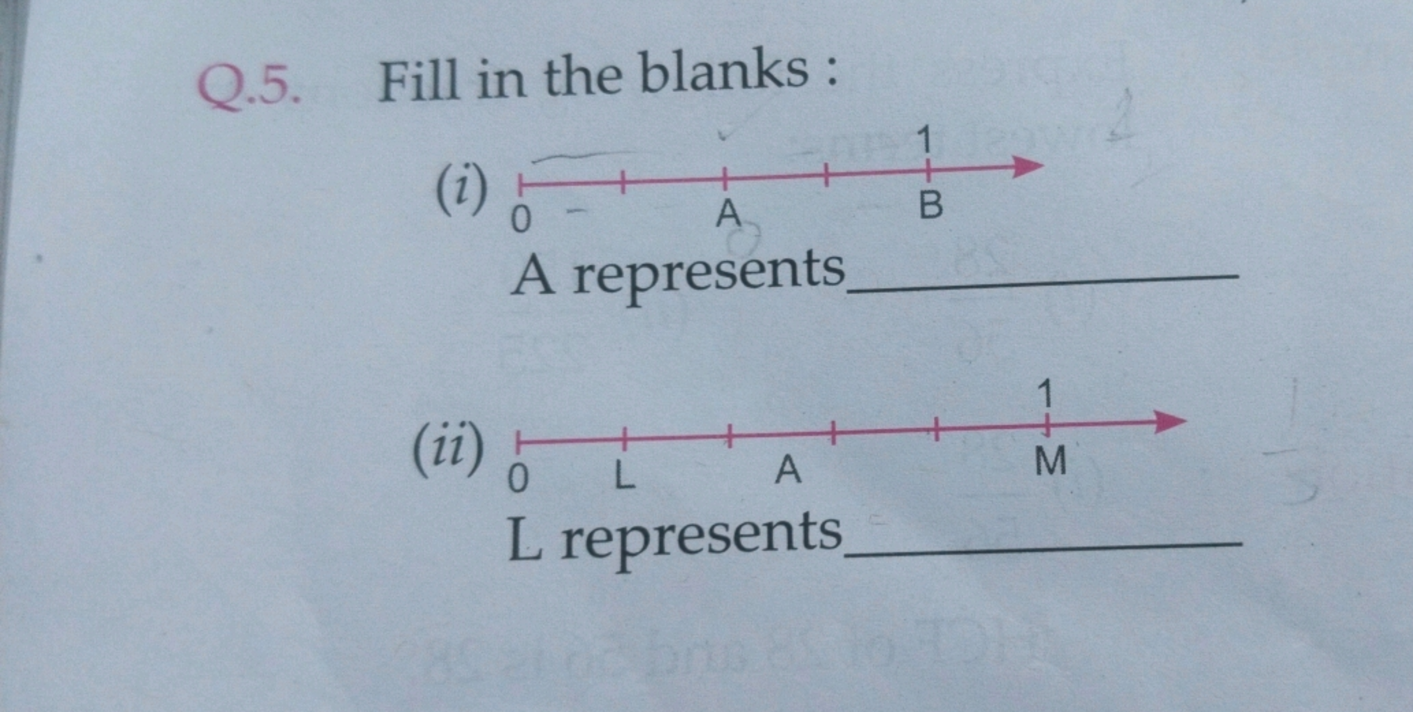 Q.5. Fill in the blanks :
(i)

A represents 
(ii)

L represents 