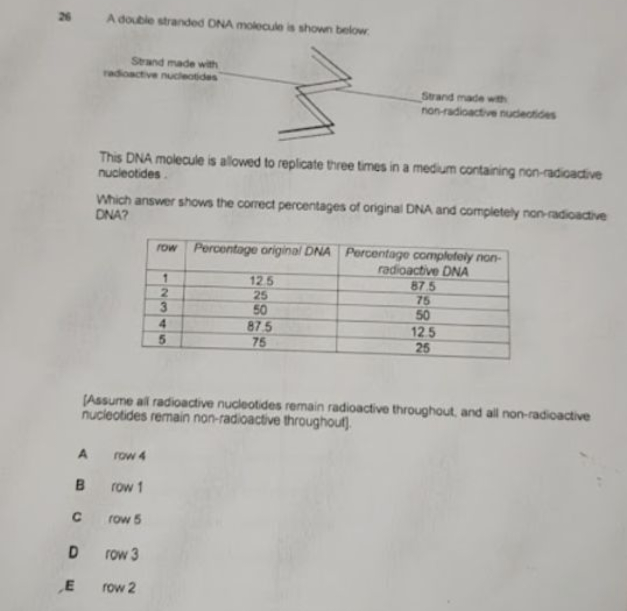 26 A doible stranded ONA molecule is shown below.

This DNA molecule i