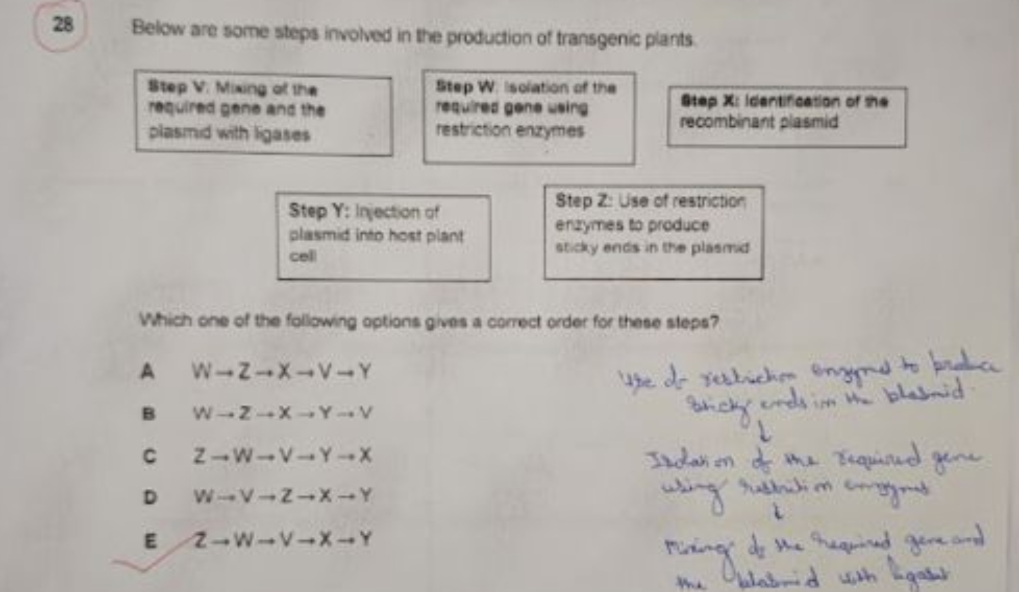 28 Below are some steps involved in the production of transgenic plant