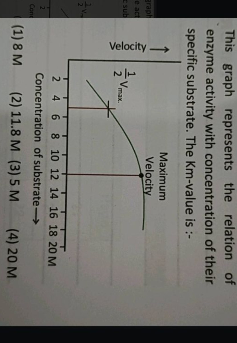 This graph represents the relation of enzyme activity with concentrati