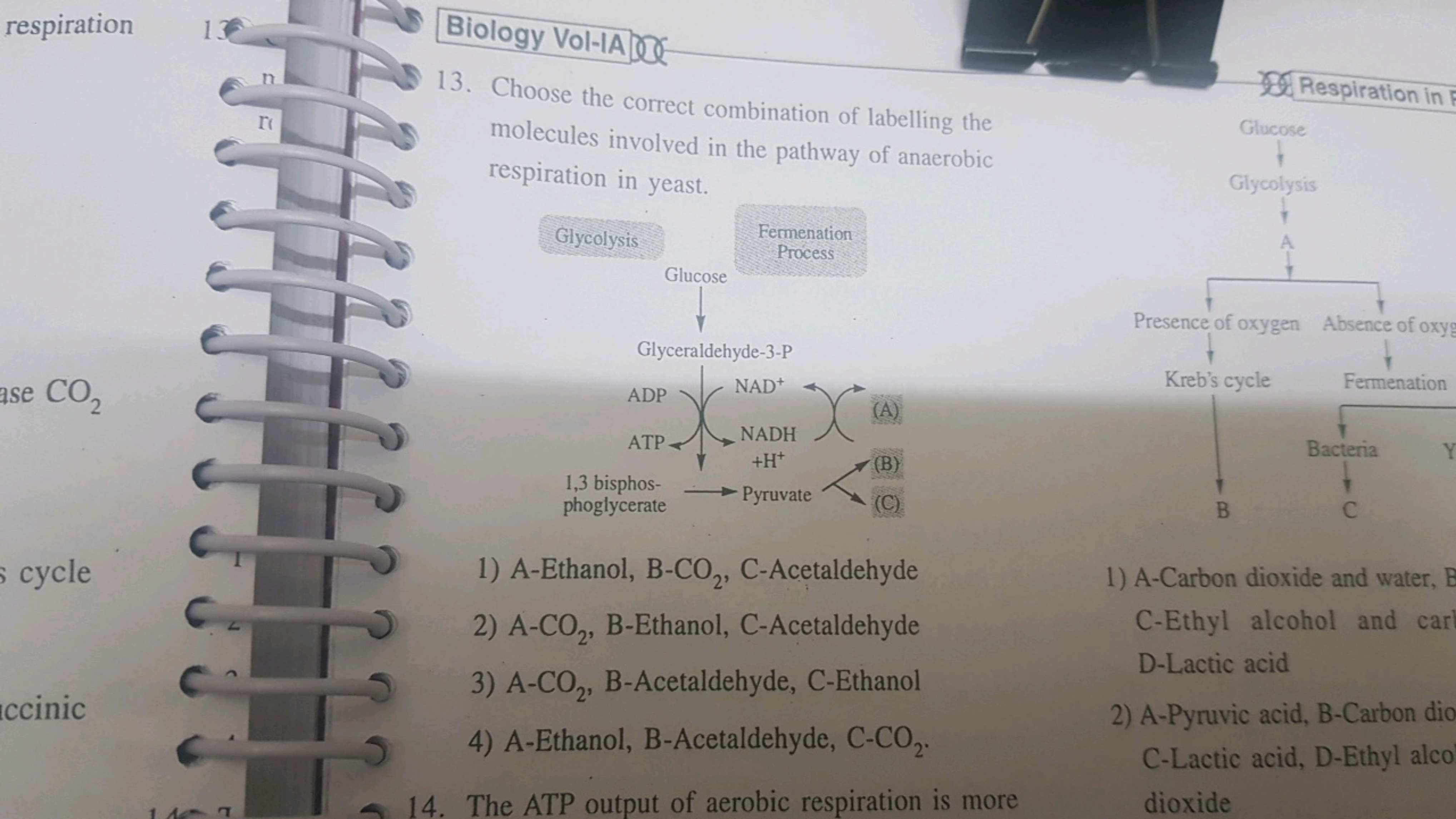 respiration ase CO2​
cycle ccinic
Biology Vol-IA
13. Choose the correc