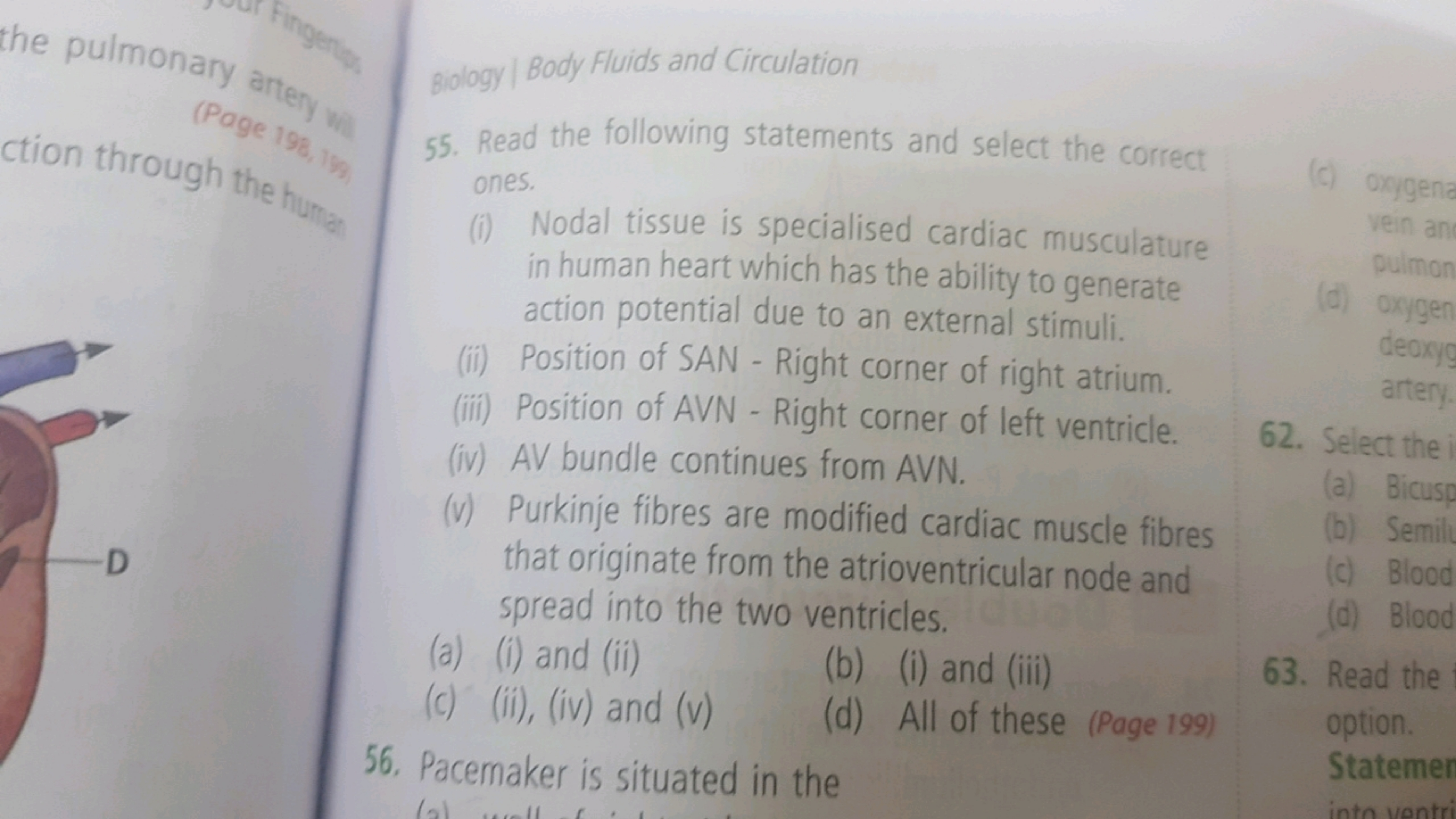 the pulmonary antens Biology ​ Body Fluids and Circulation
(Page 19. 5